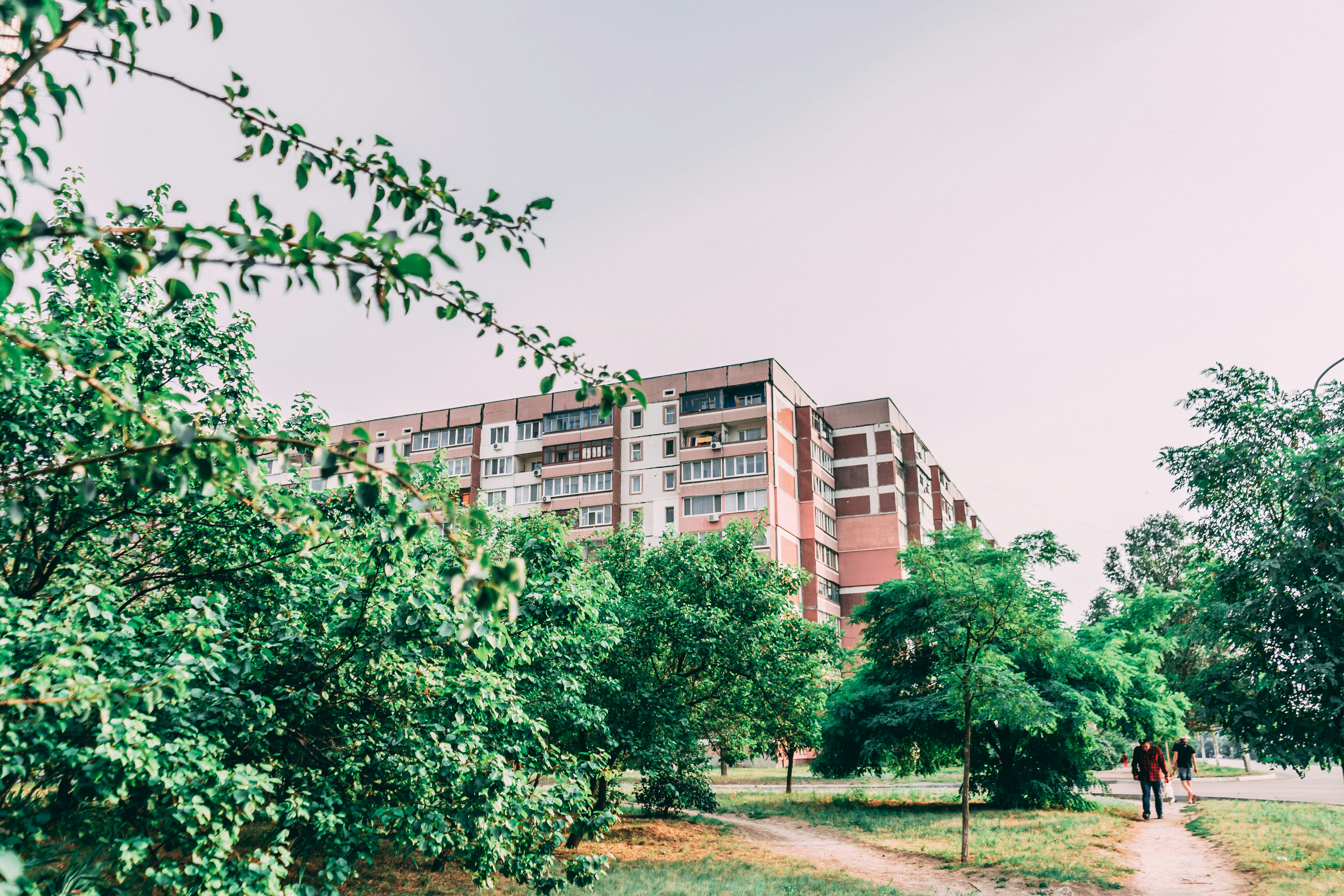 Photo by virussinside