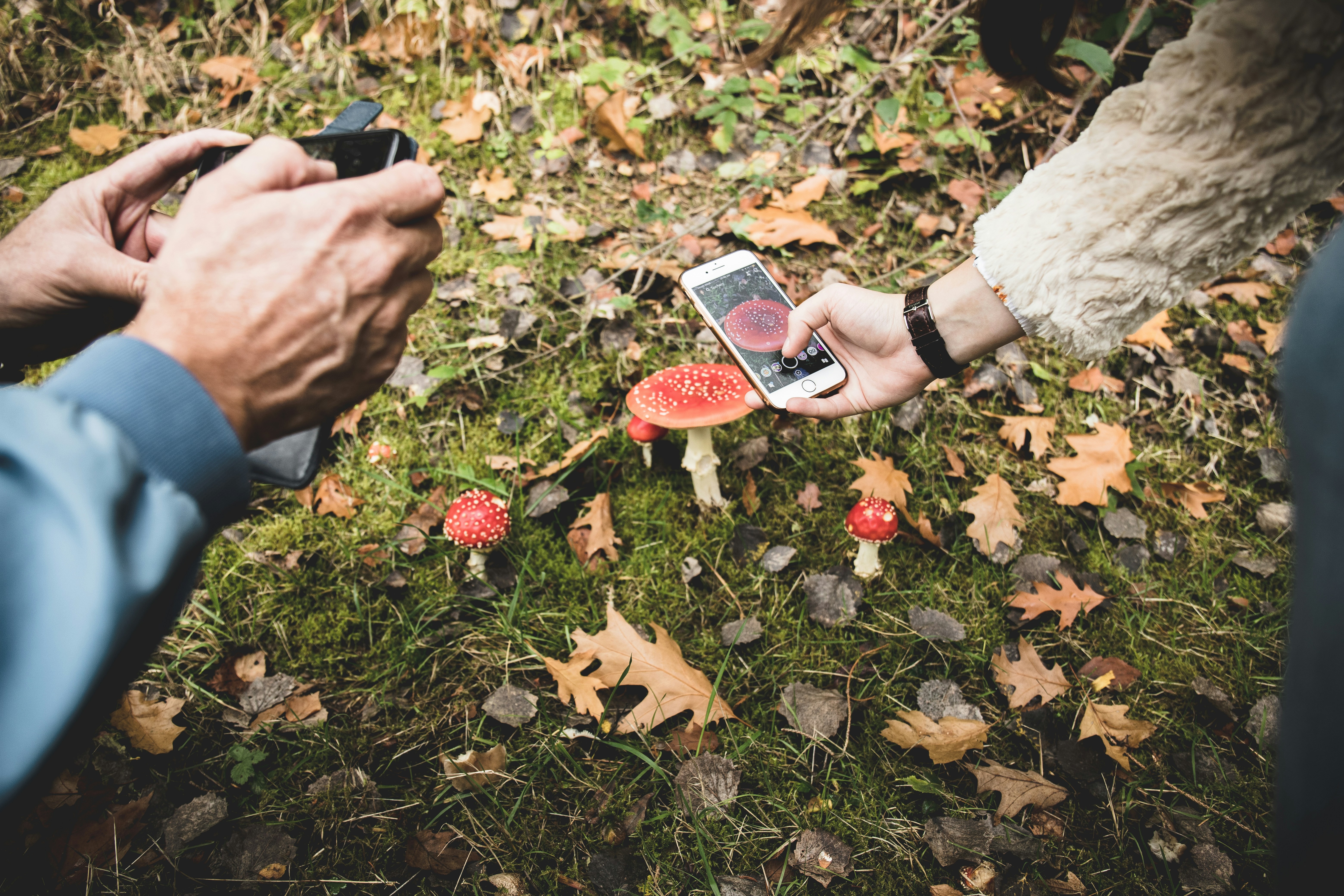 10 Myths About Snapchat Followers