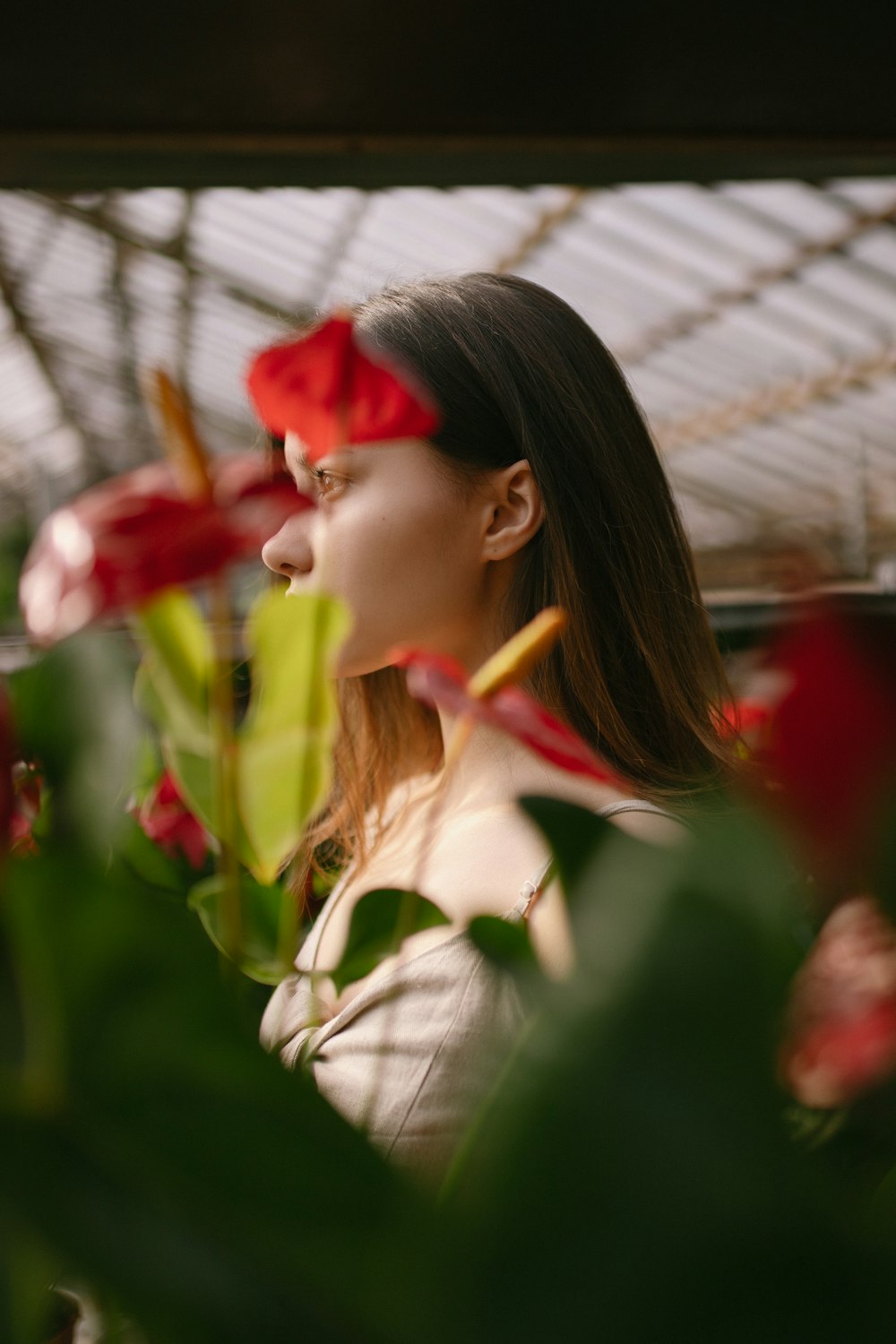 mujer con camisa de vestir blanca sosteniendo una flor roja durante el día