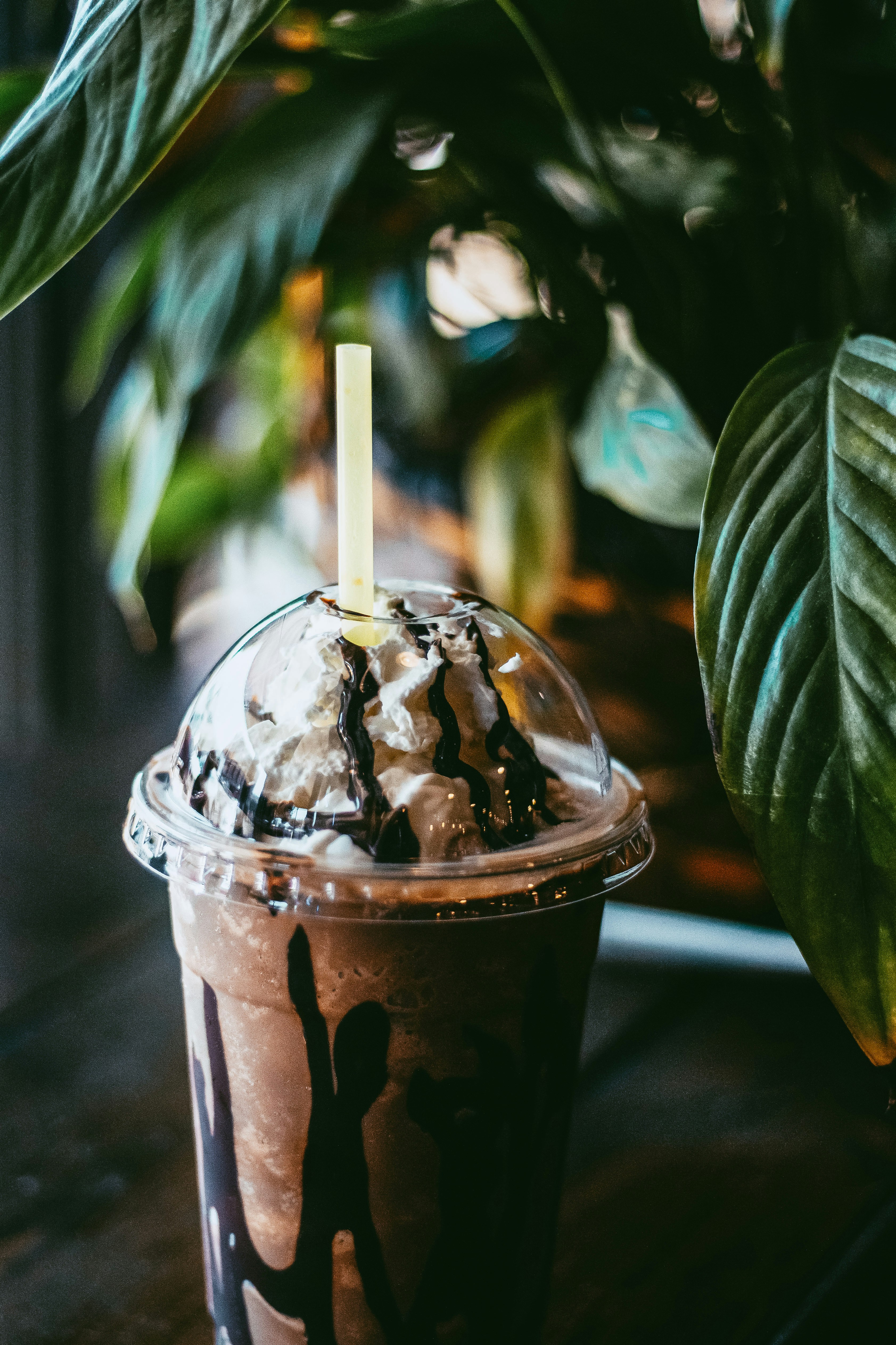 Photo by mariatakesphotos