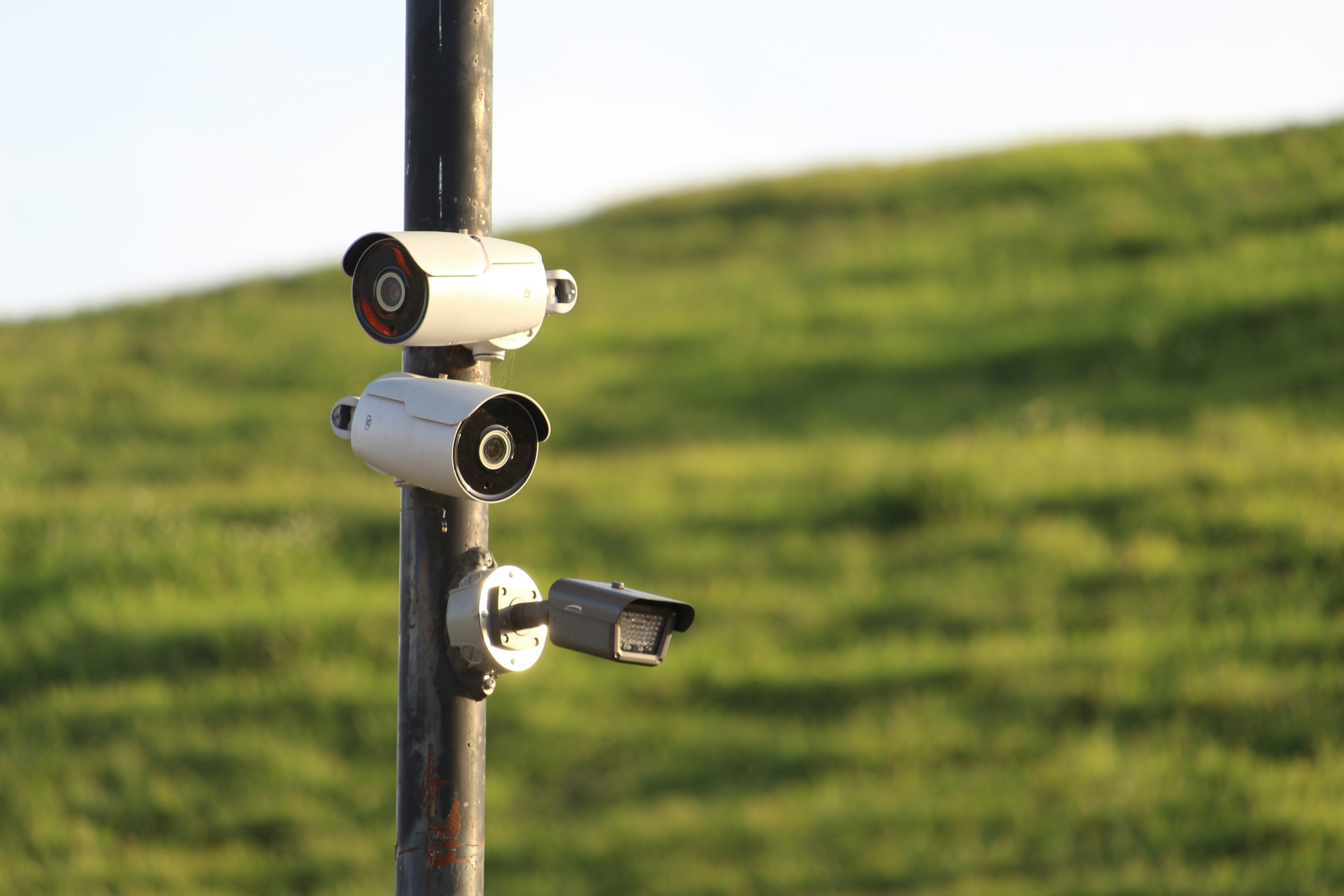 Photo by eliobedsuarez