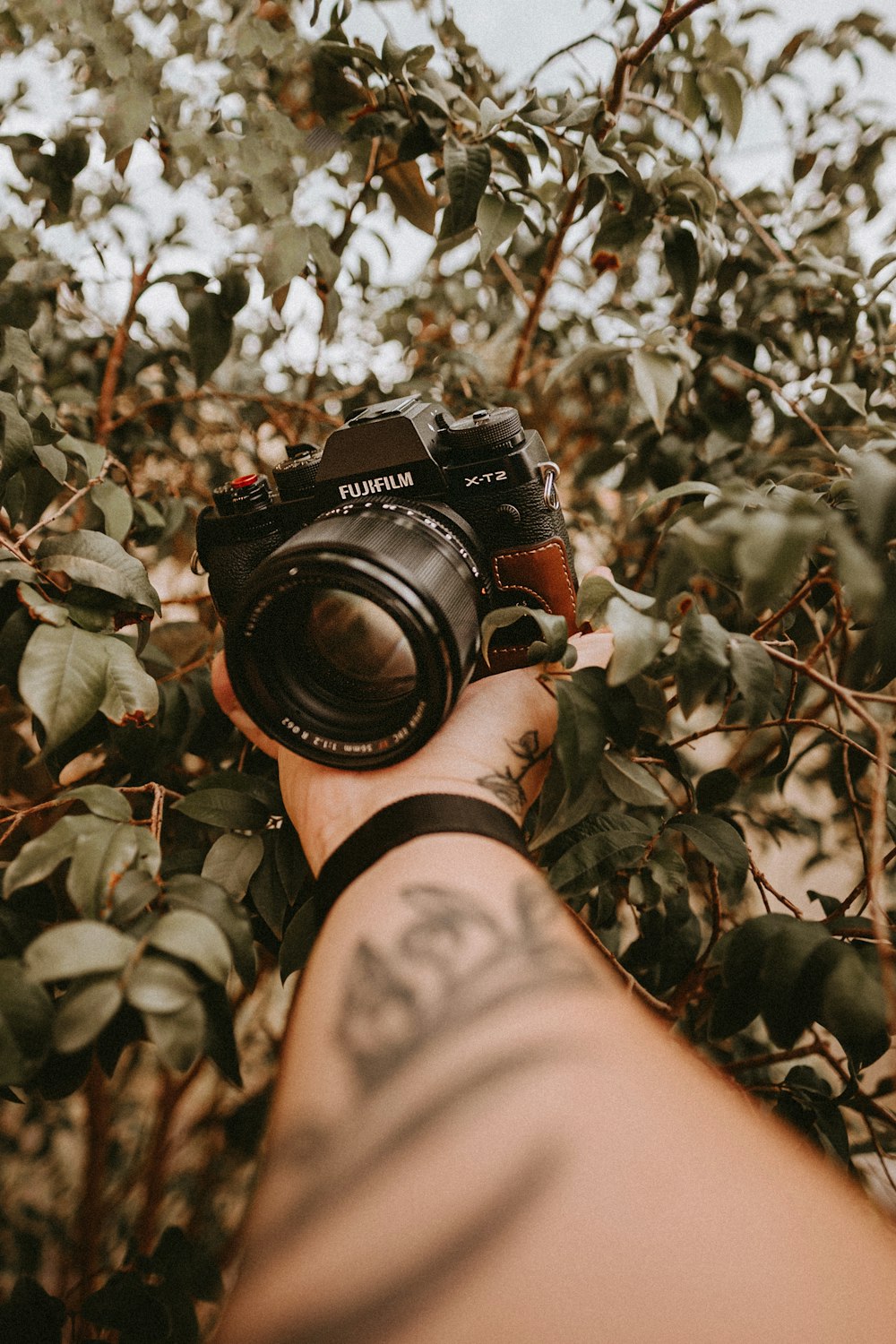 person holding black nikon dslr camera