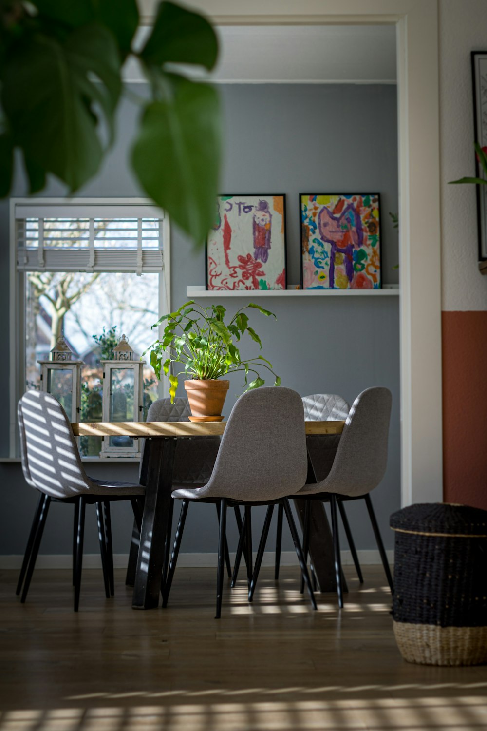 green potted plant on brown wooden table