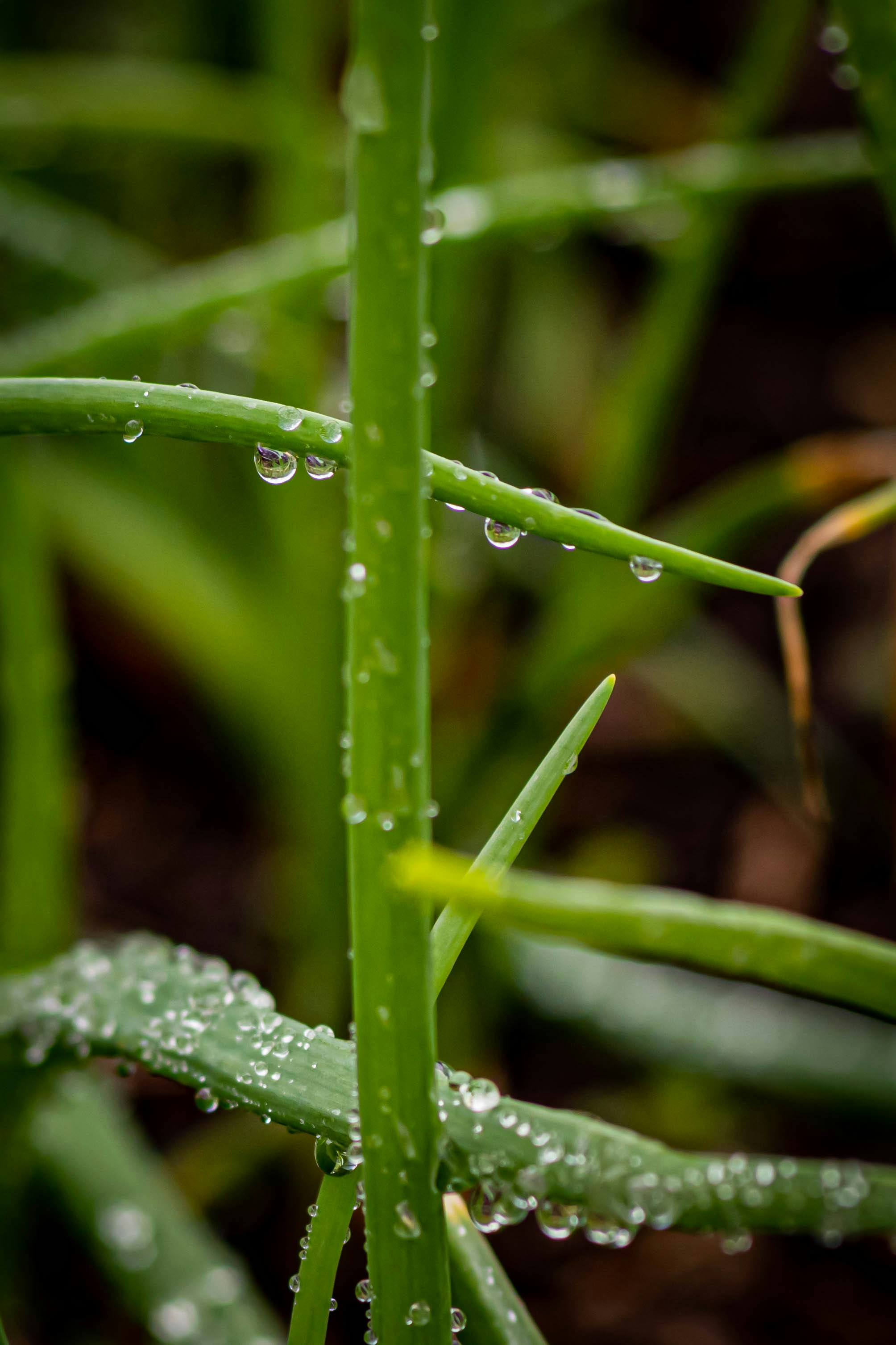 Photo by andrewlancaster