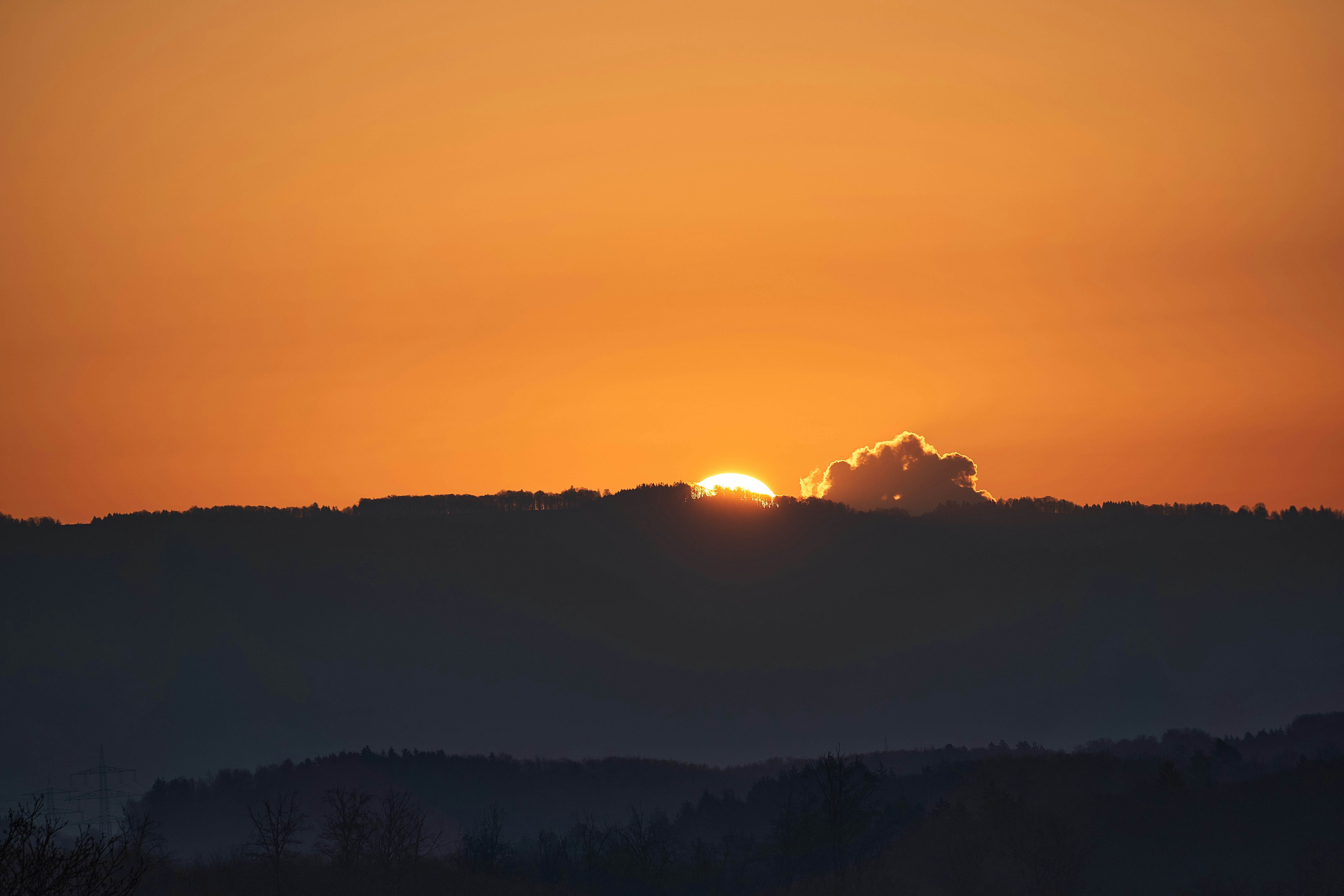 Photo by wolfgang_hasselmann