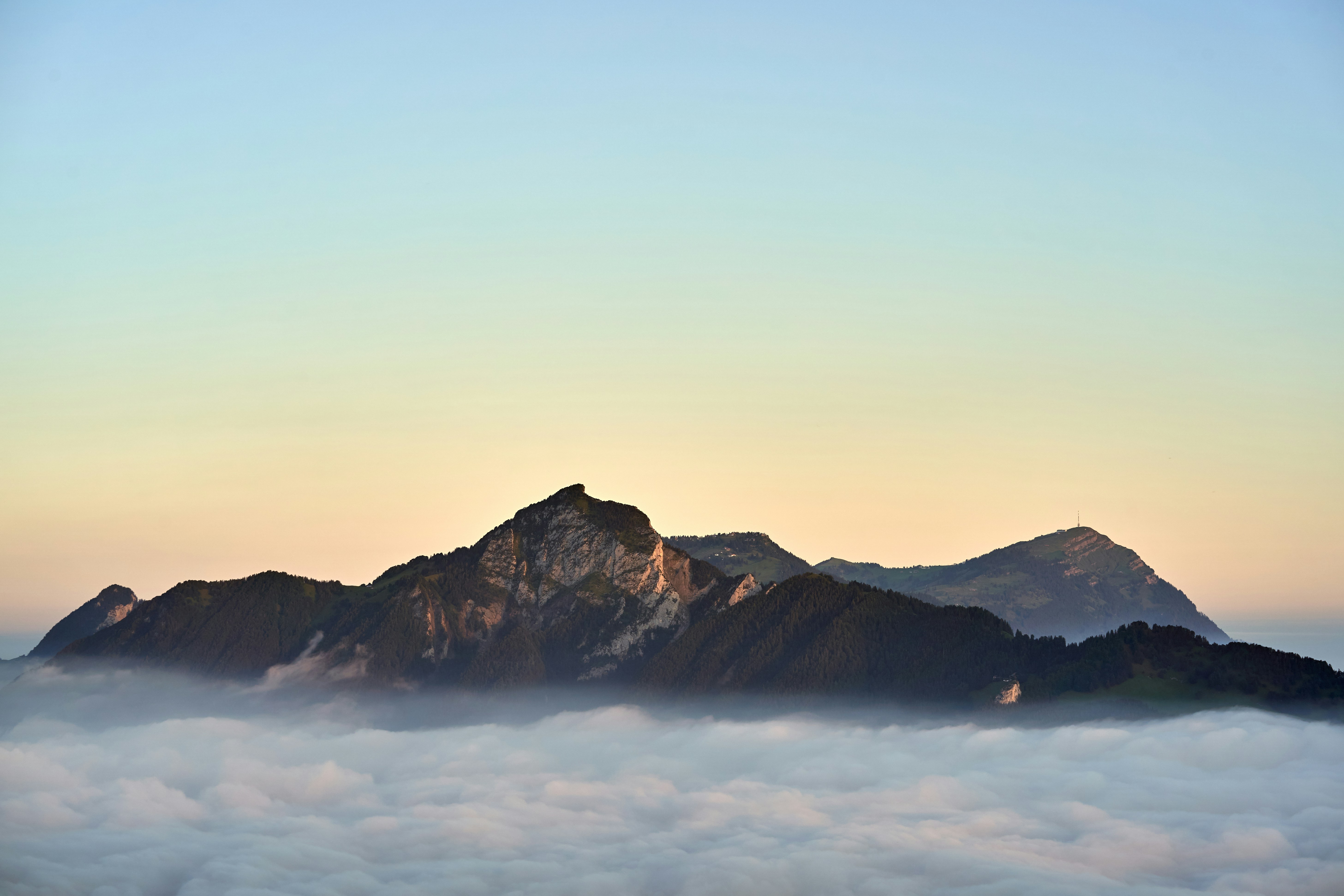 Photo by wolfgang_hasselmann