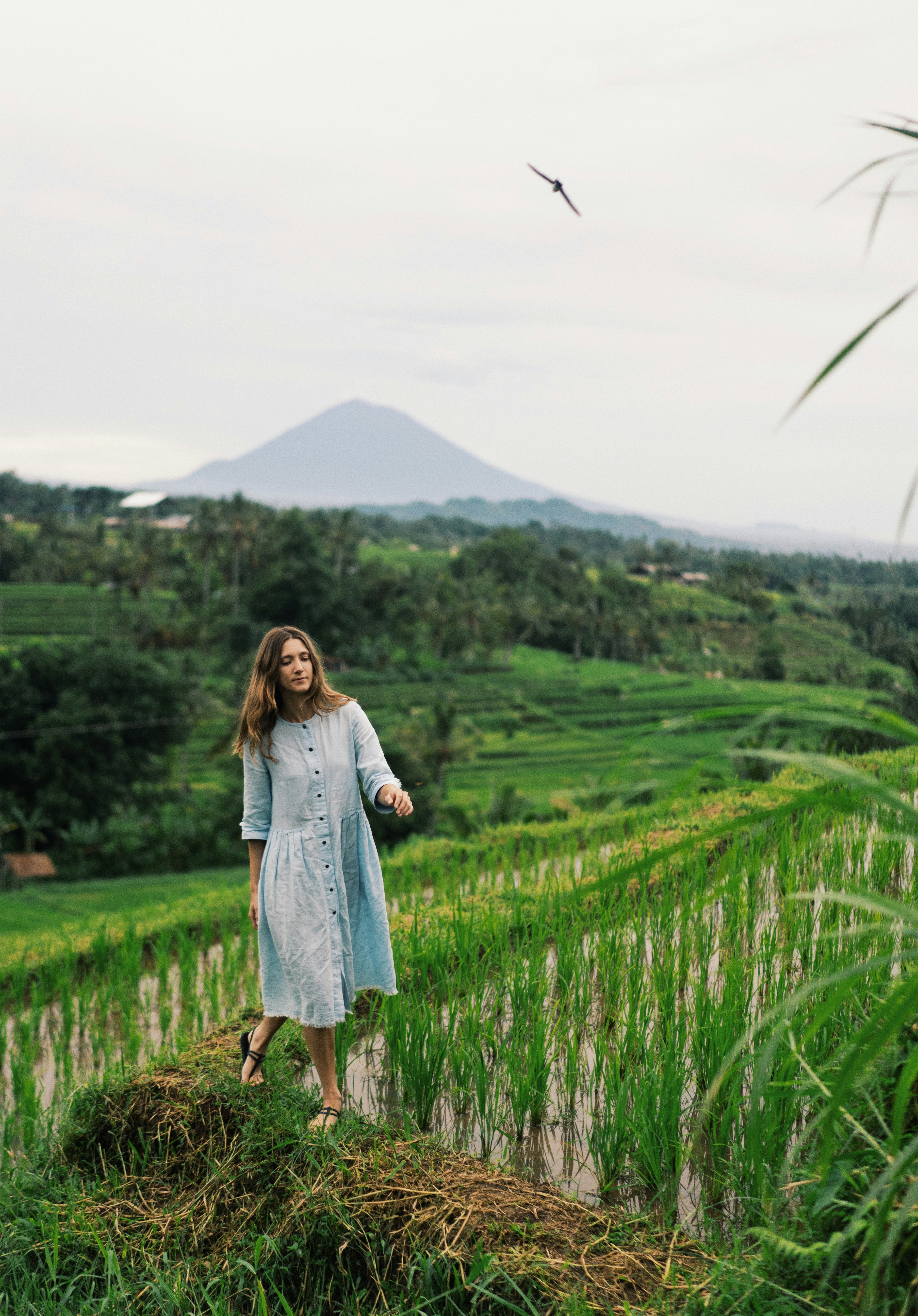 woman in gray long sleeve dress standing on green grass field during daytime