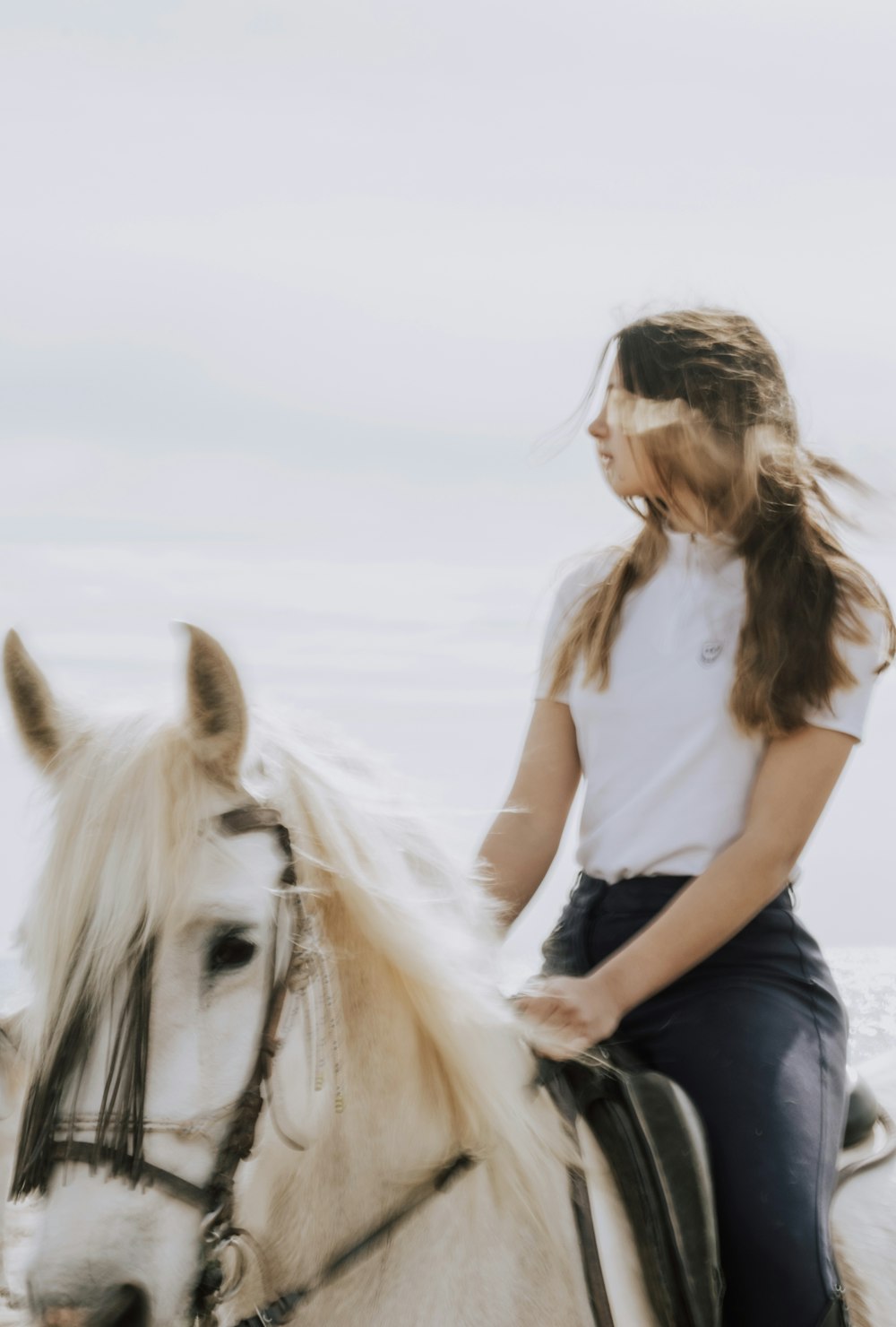 woman in white shirt and blue denim jeans sitting on white horse during daytime