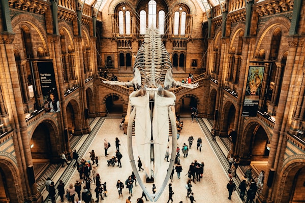 The Met