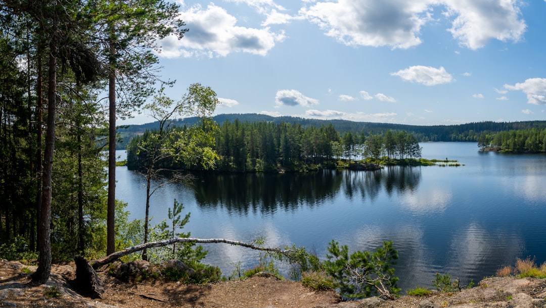 green trees beside lake under blue sky during daytime