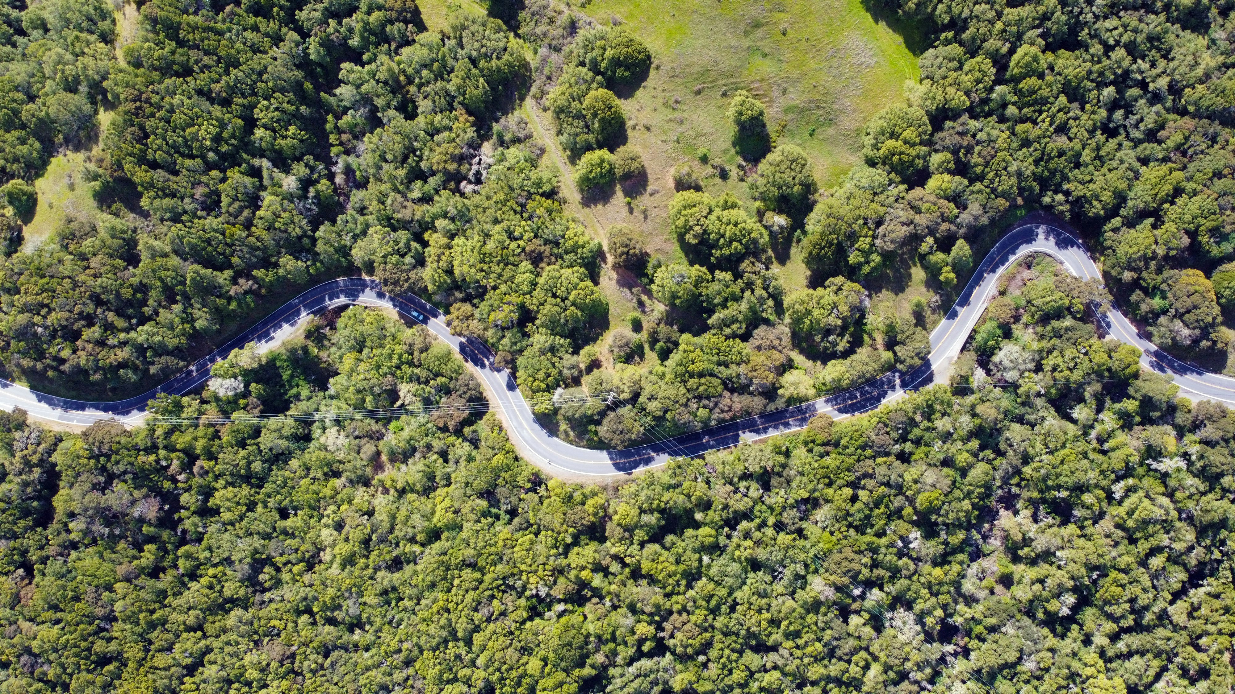 aerial view of road in the middle of green trees