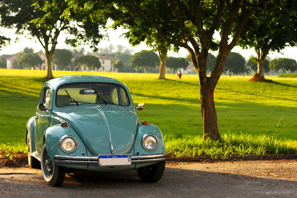 blue volkswagen beetle on road during daytime