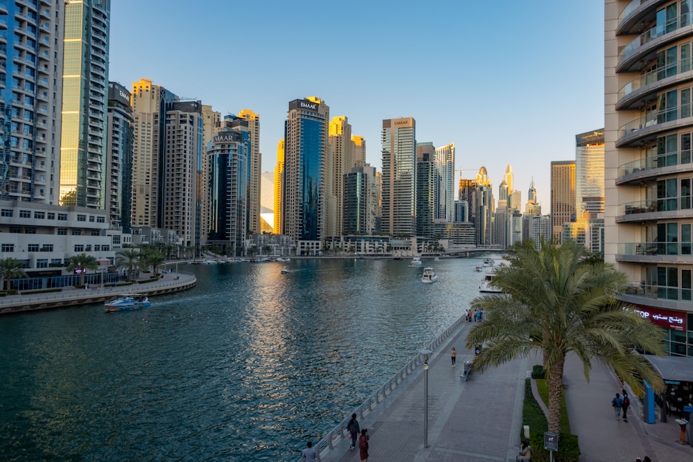 people walking on sidewalk near body of water during daytime