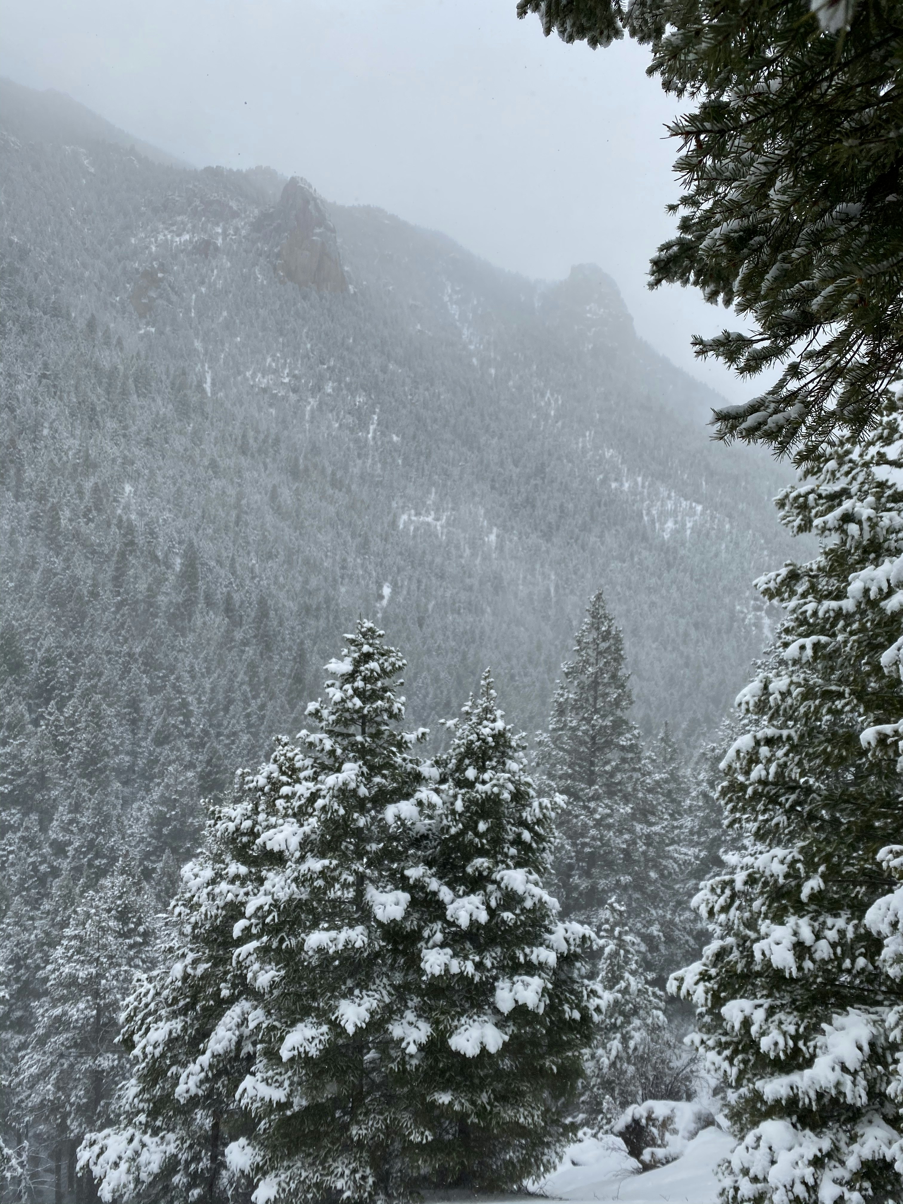 Photo by laitonbarbo