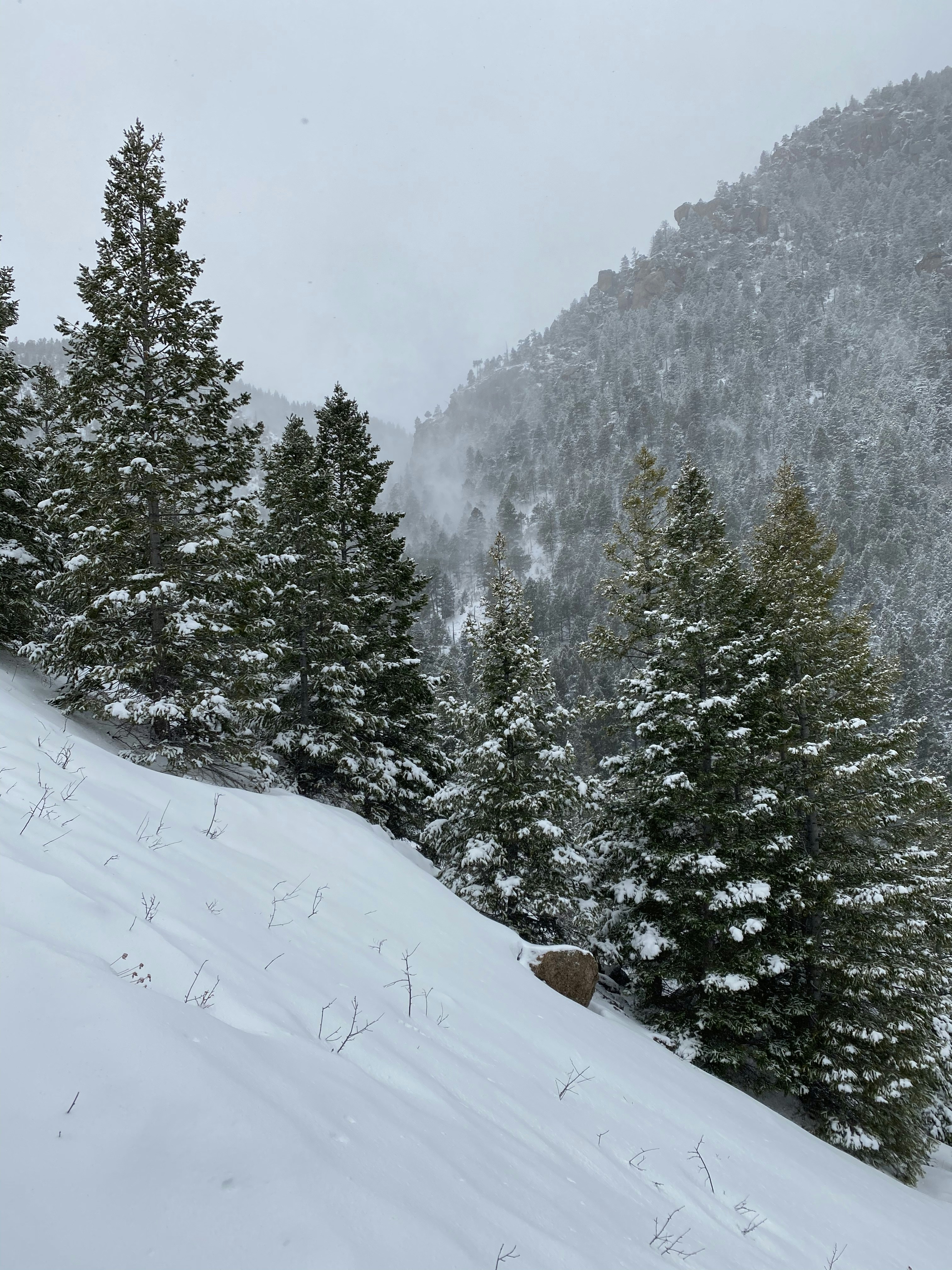 Photo by laitonbarbo