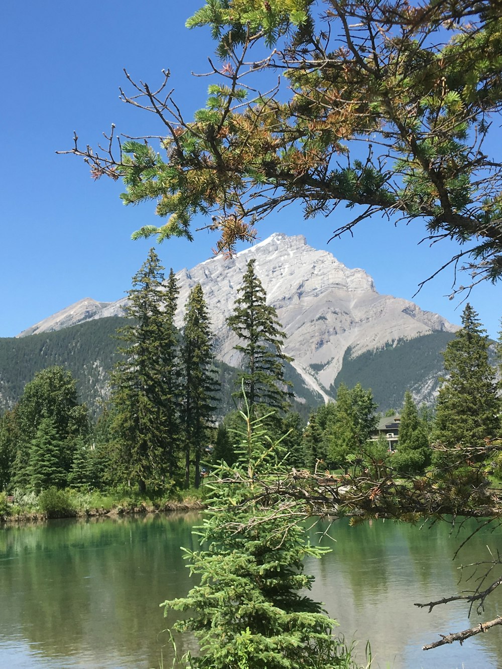 green trees near lake and mountain during daytime