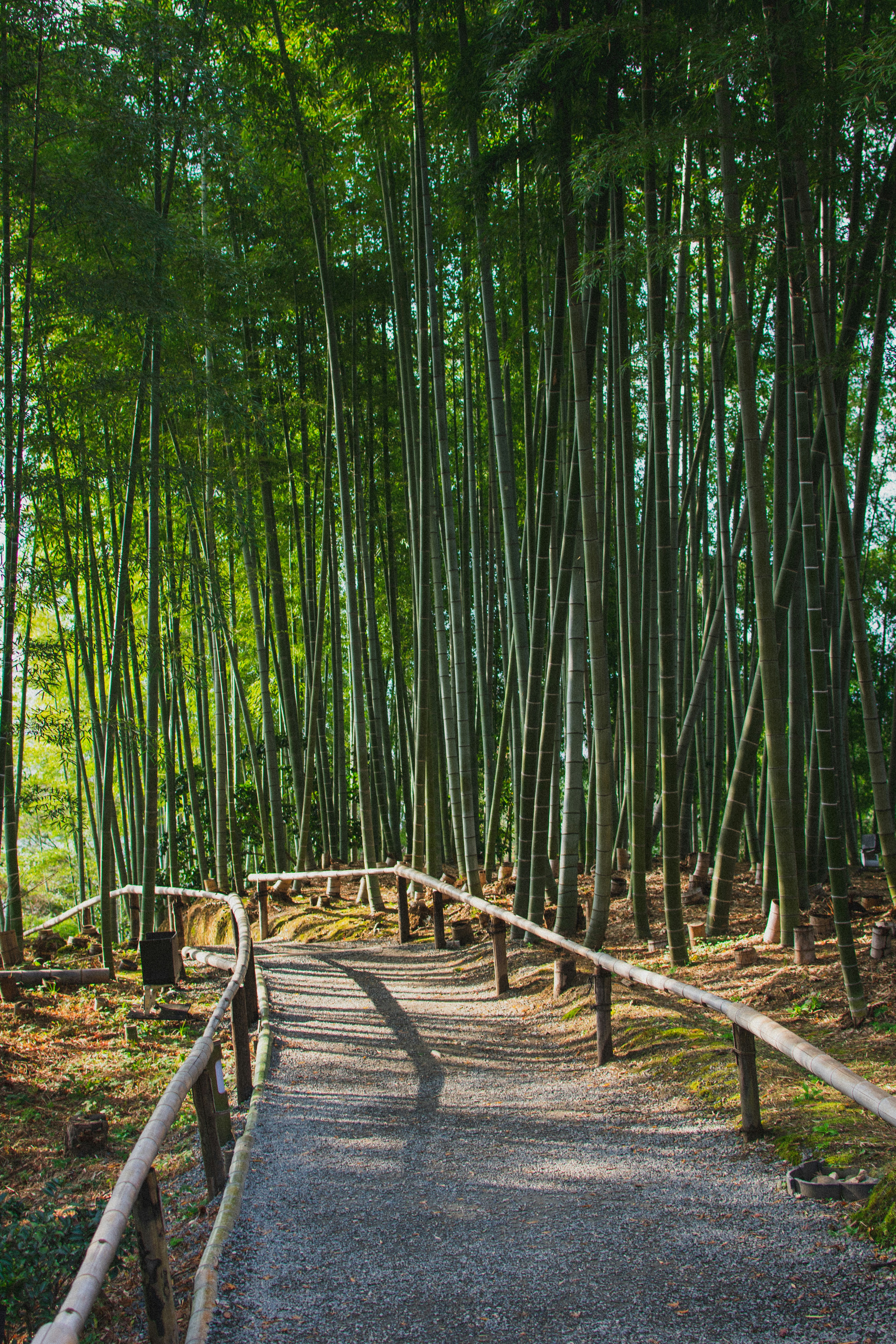 Photo by cmacmillanmarin