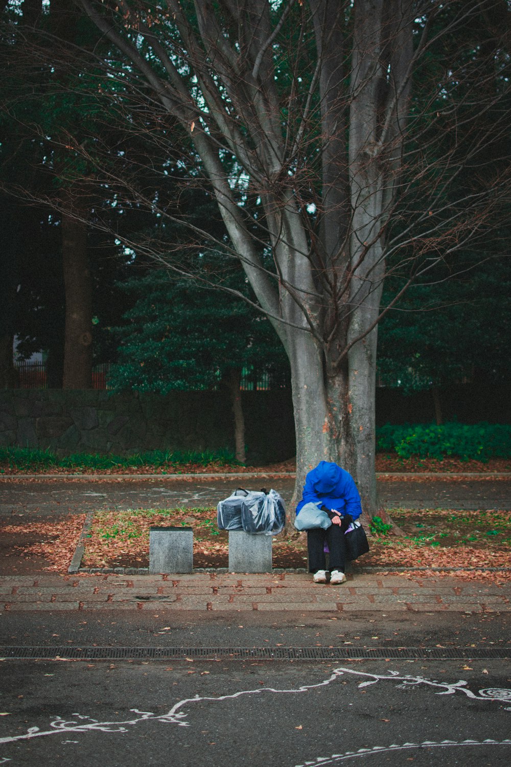 person in blue jacket and black pants walking on brown pathway