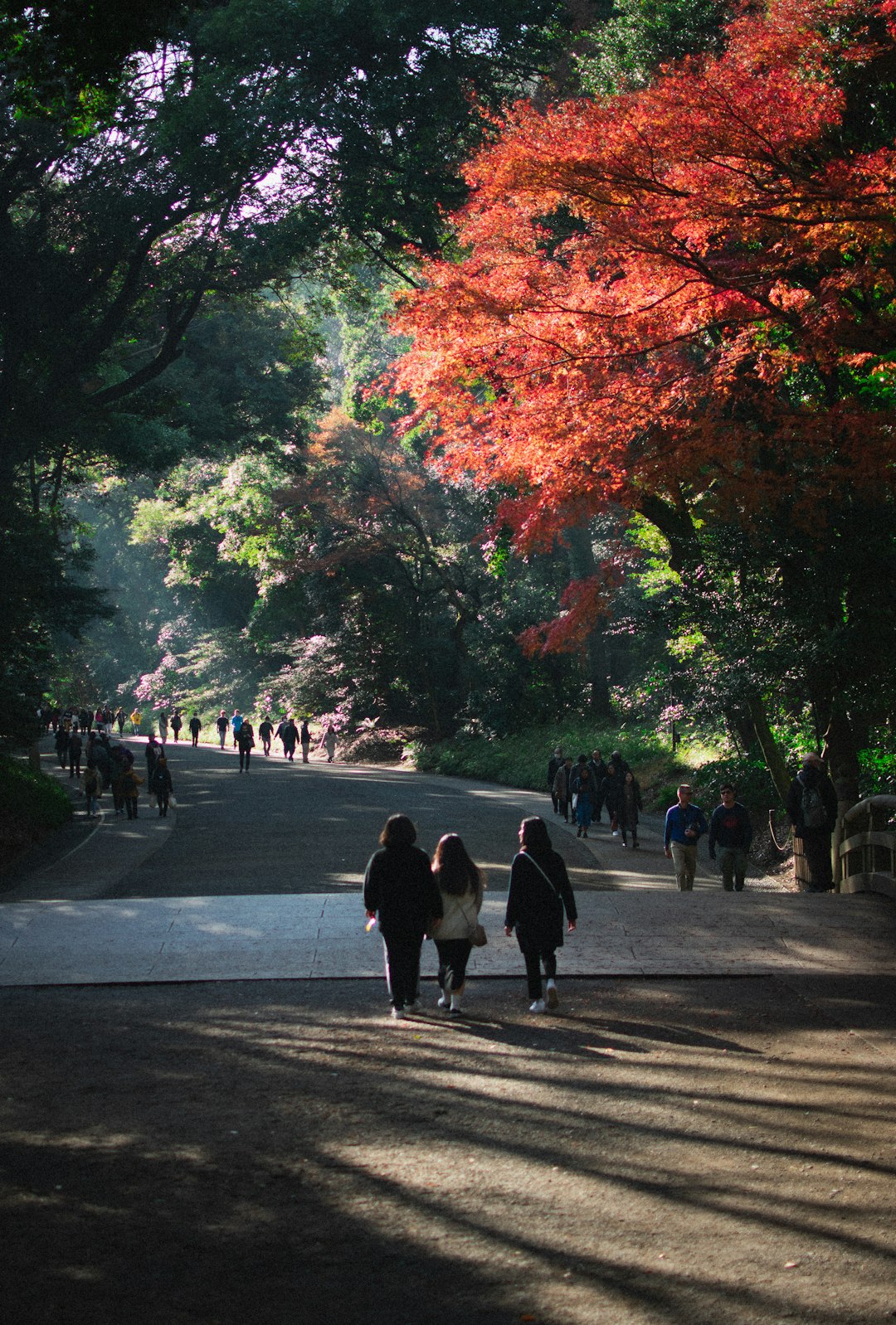 people walking on sidewalk during daytime