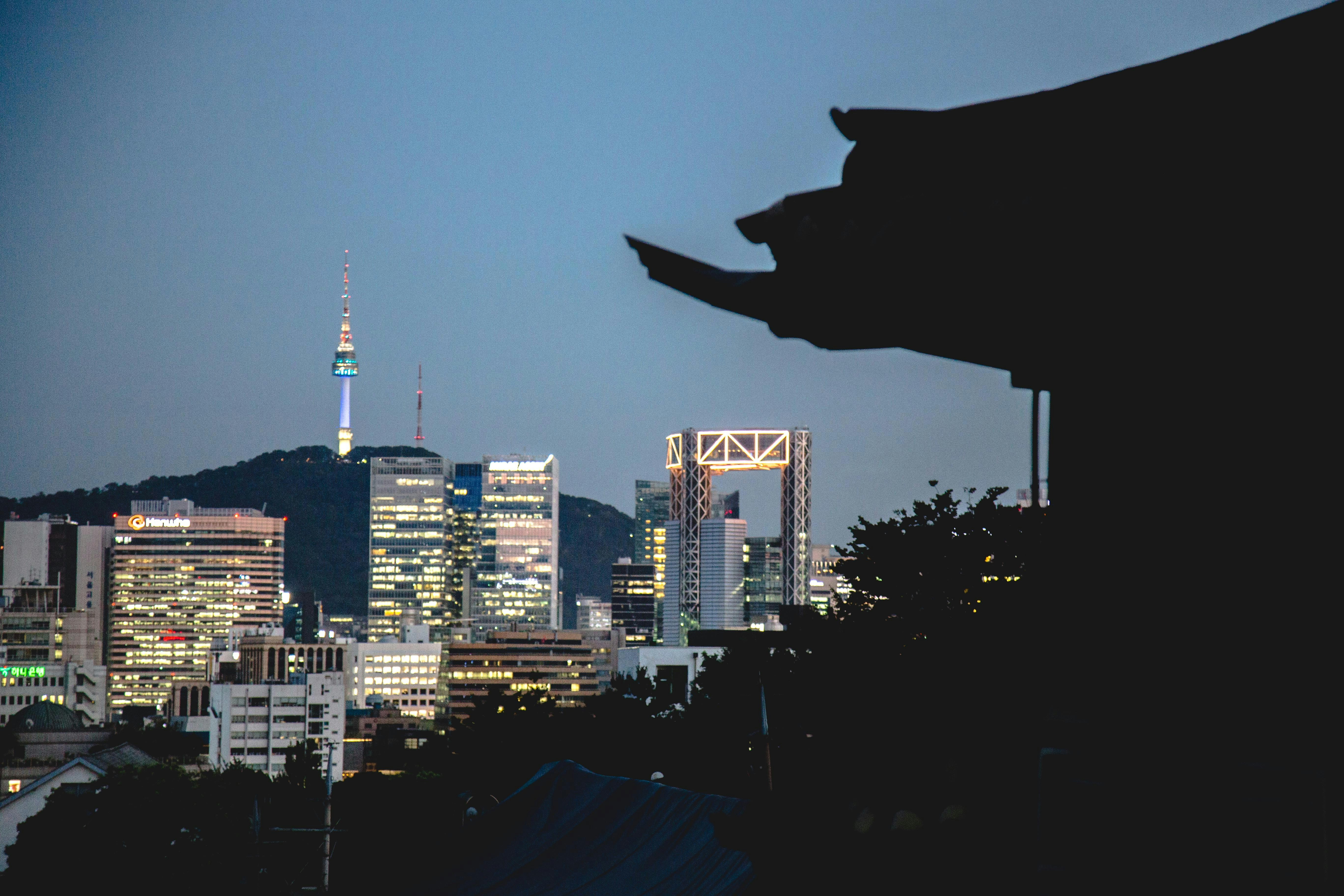 city skyline during night time