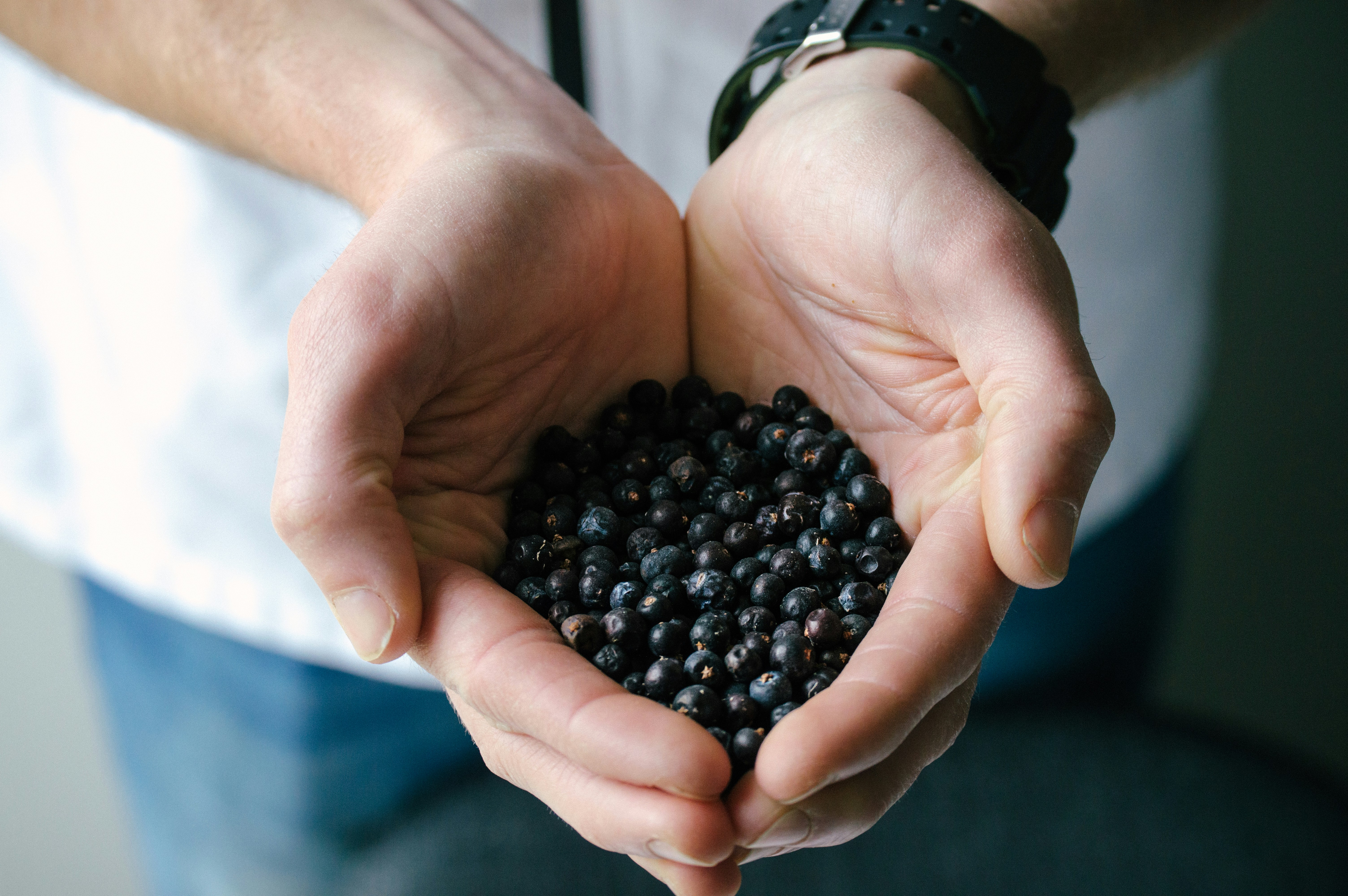 Photo by isacasallas