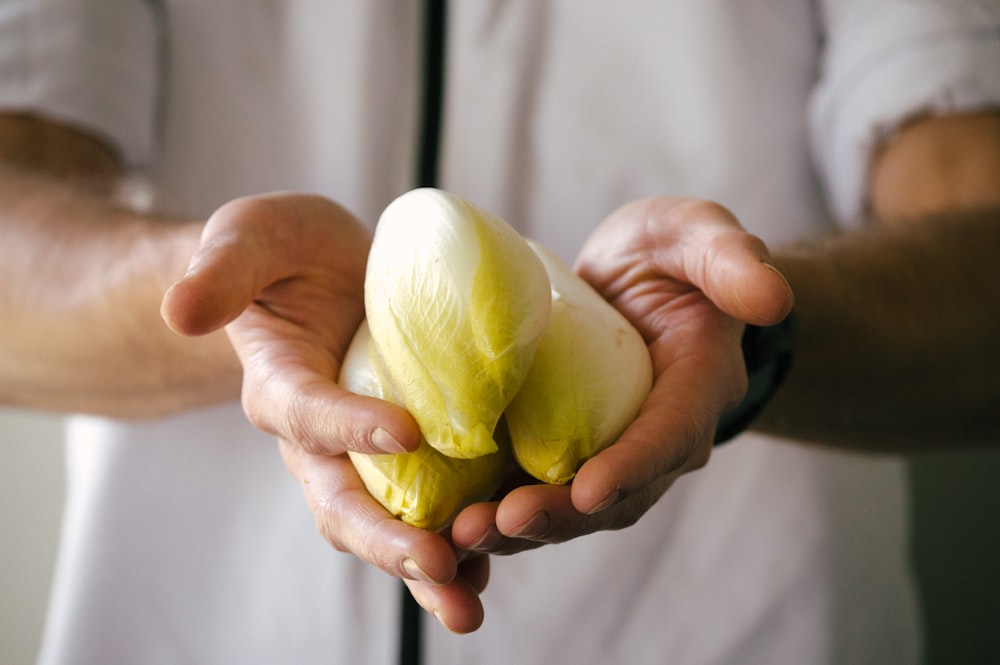 Persona sosteniendo un bulbo de ajo blanco