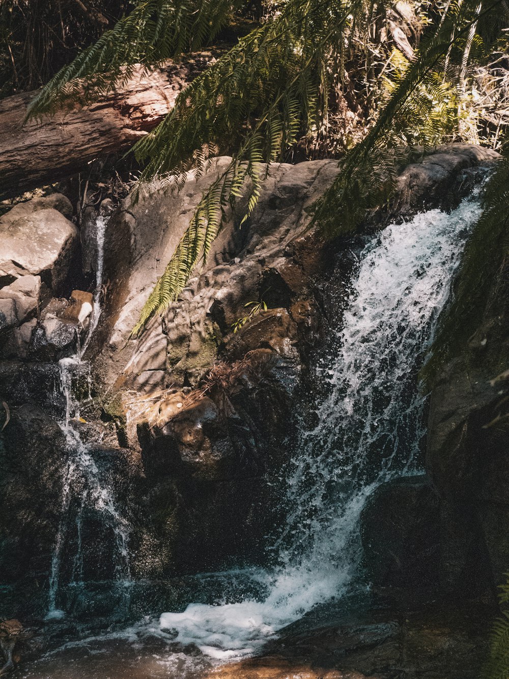 water falls in the middle of the forest