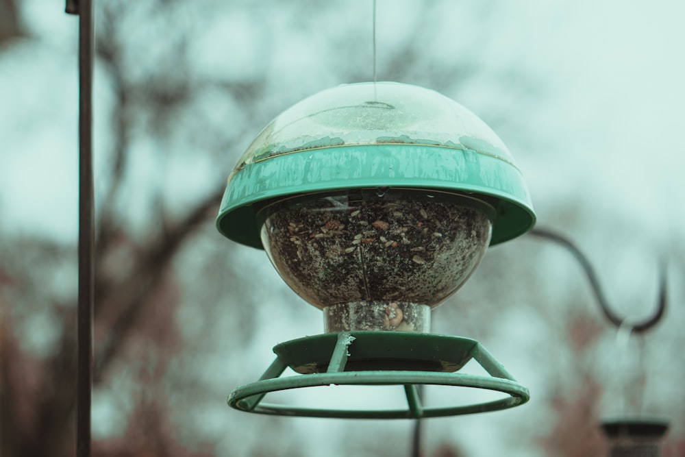 green and brown bird feeder