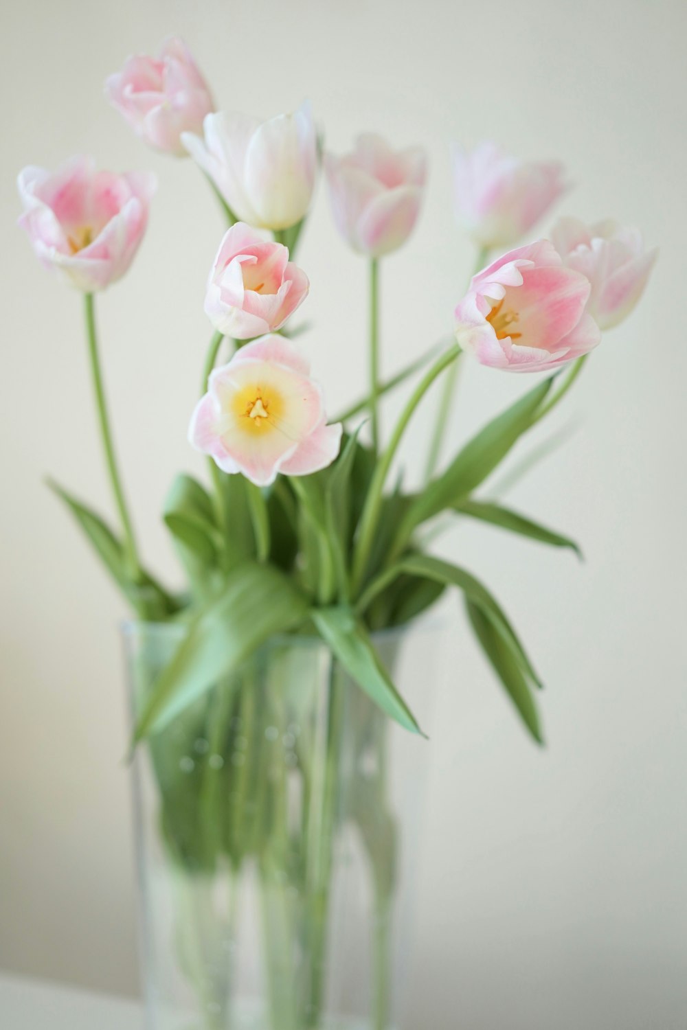 a vase filled with pink and white flowers