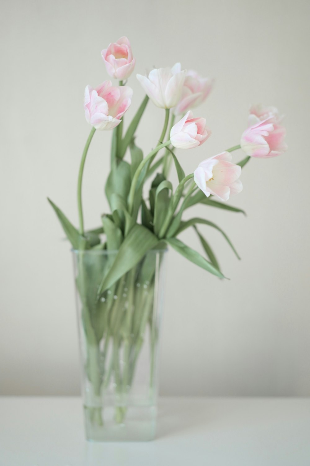 pink and white flowers in clear glass vase