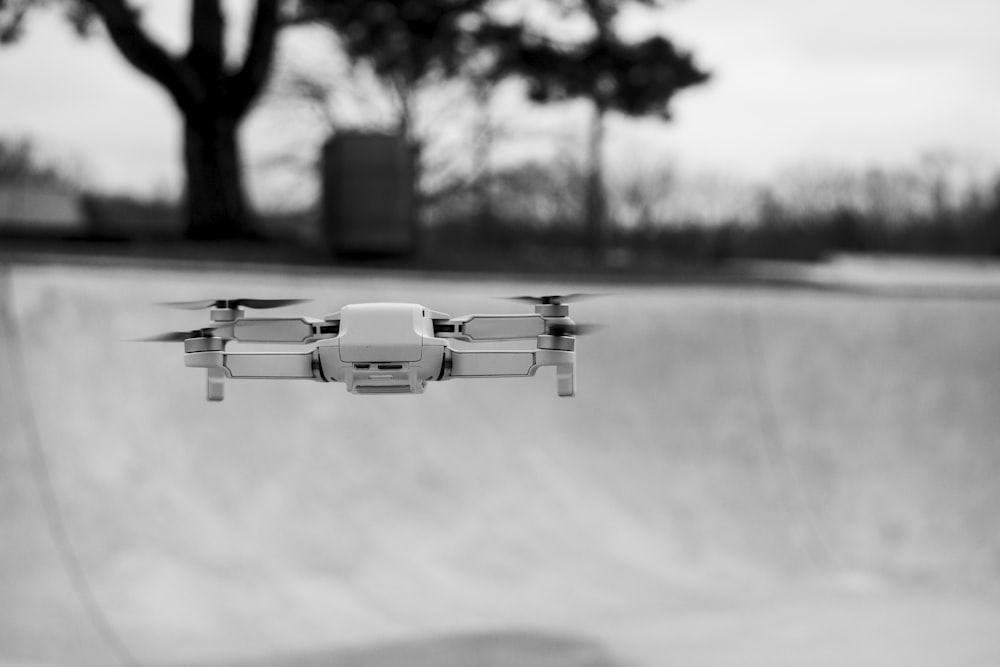 white and black camera on tree branch