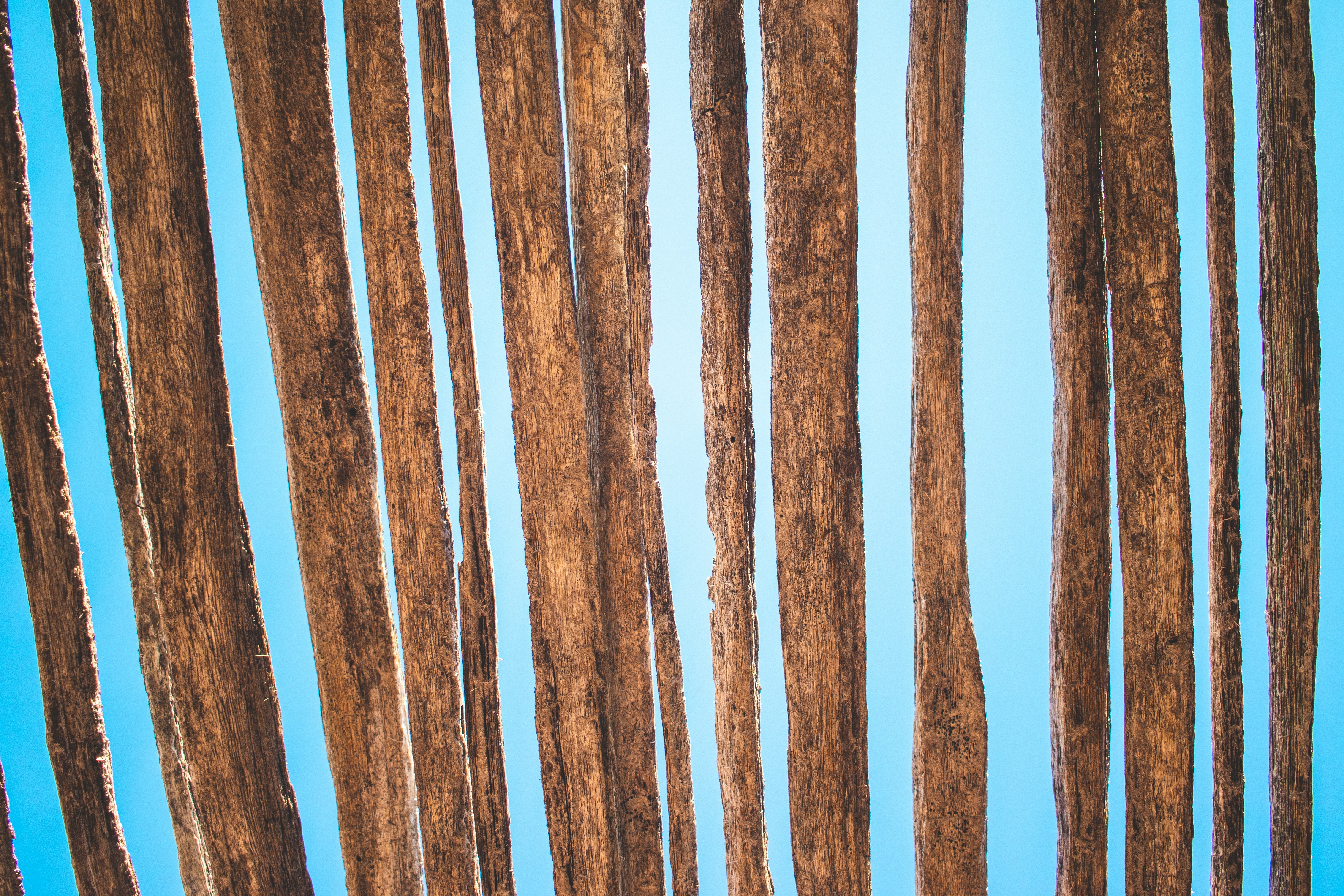 Apple Maps Reviews, FTC Kneecapped by SCOTUS, Near-Me Getaways