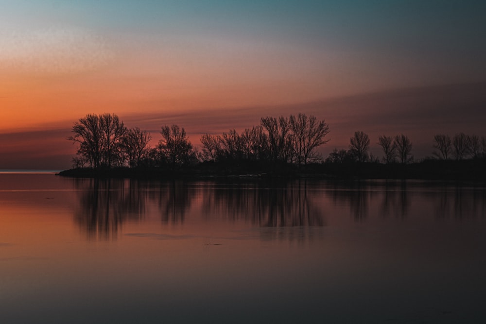 silhouette of trees near body of water during sunset