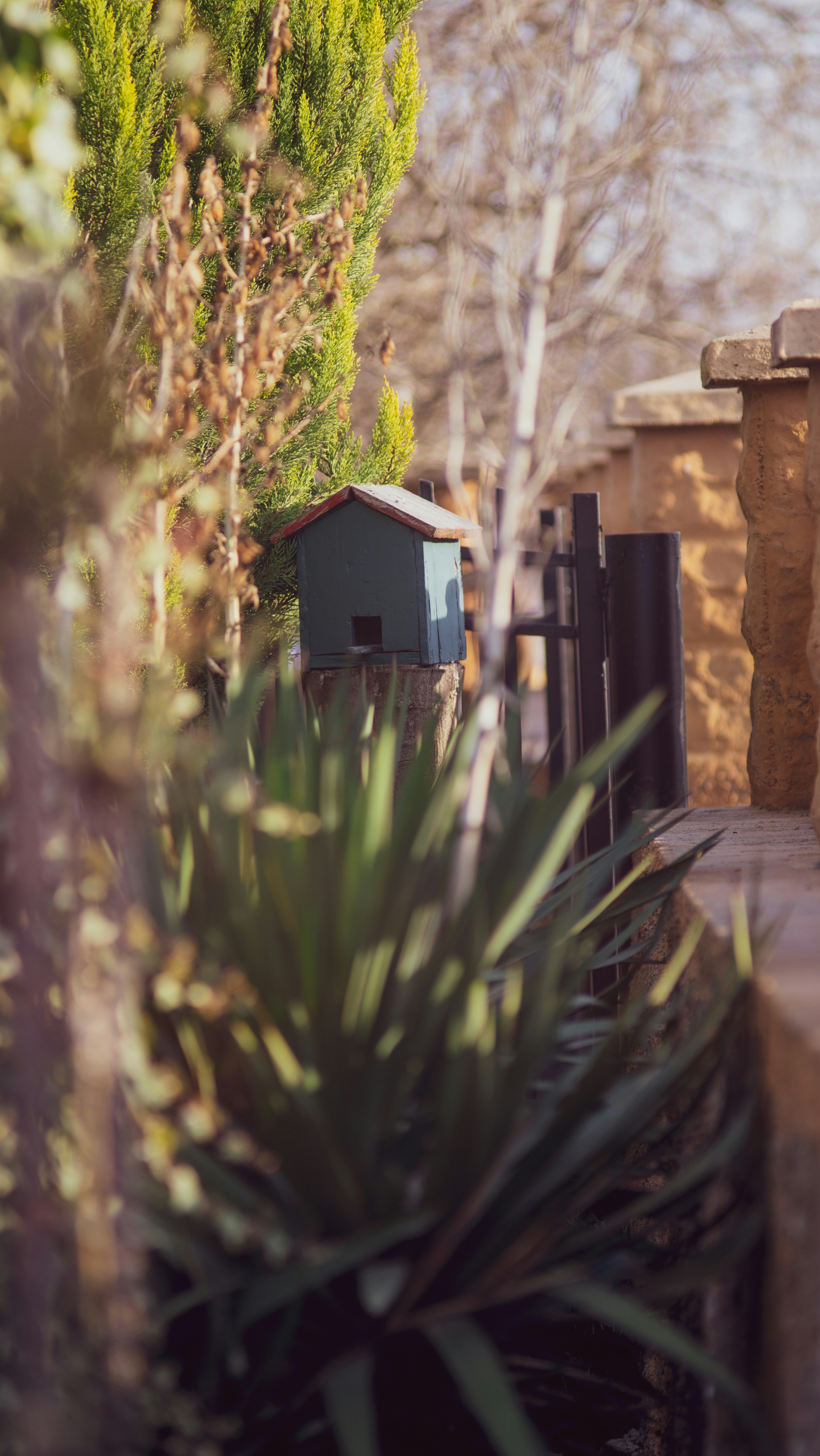 Casa de madera marrón en medio de un campo de hierba verde