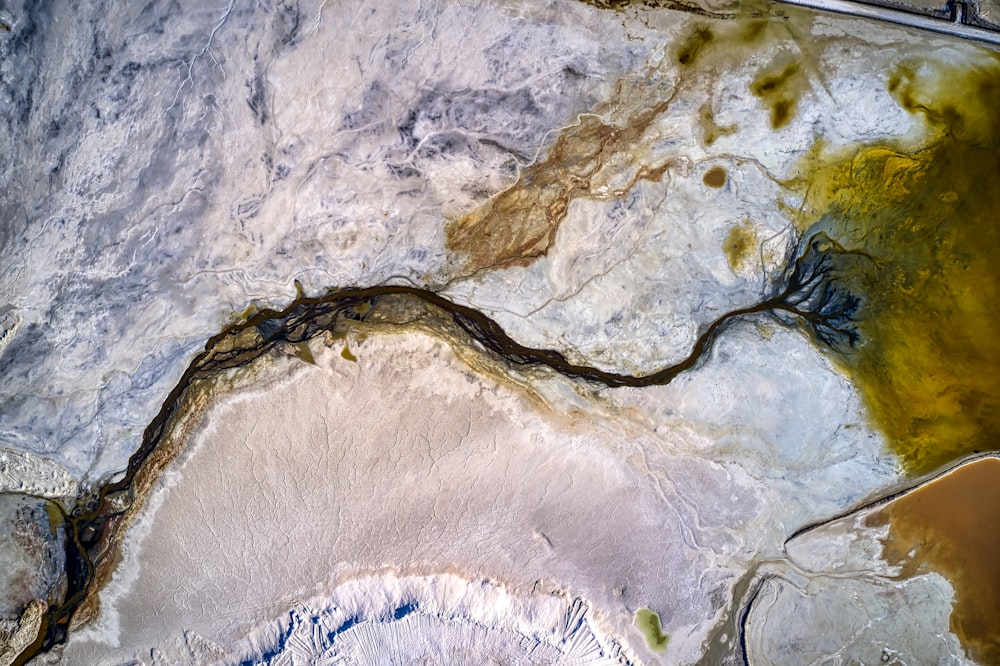 aerial view of green and brown water lilies on water