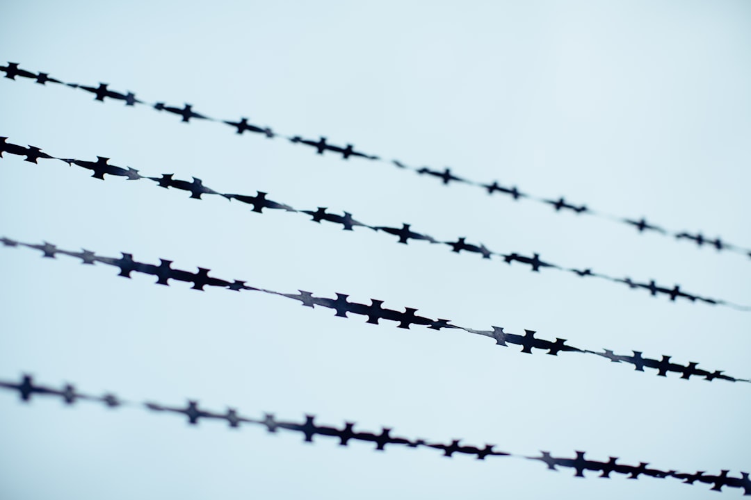 black and white line illustration, Borderline - Barbed Wire Fence