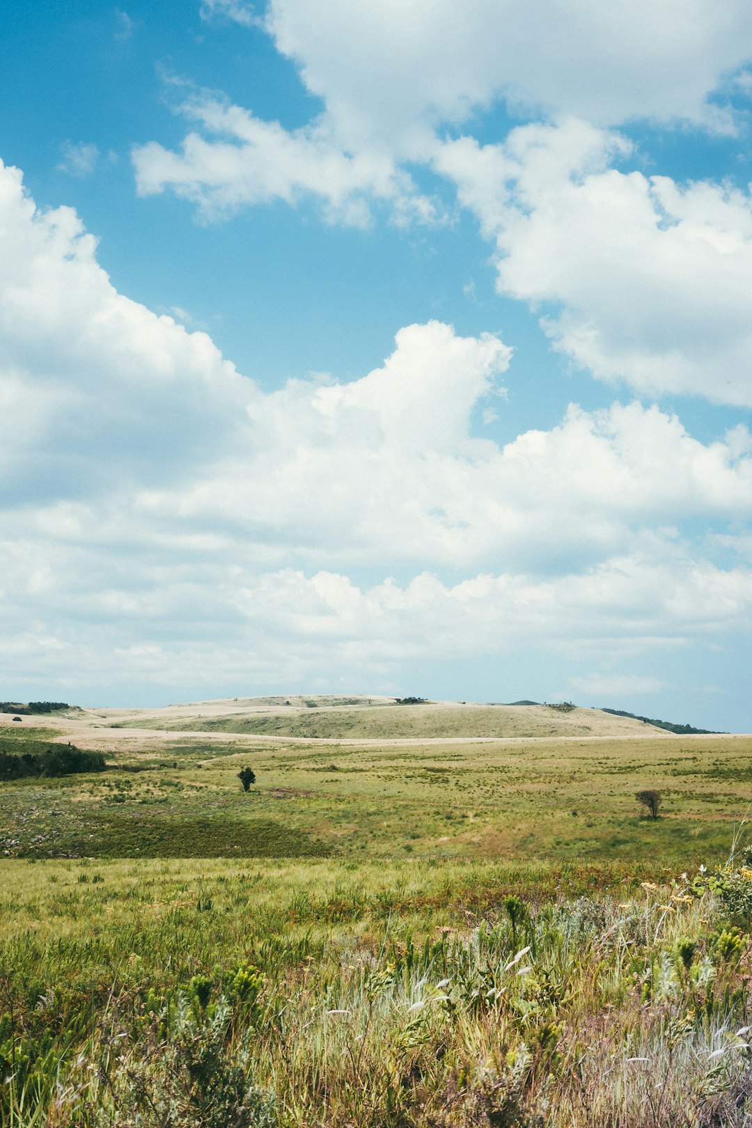 Plain photo spot Graskop South Africa