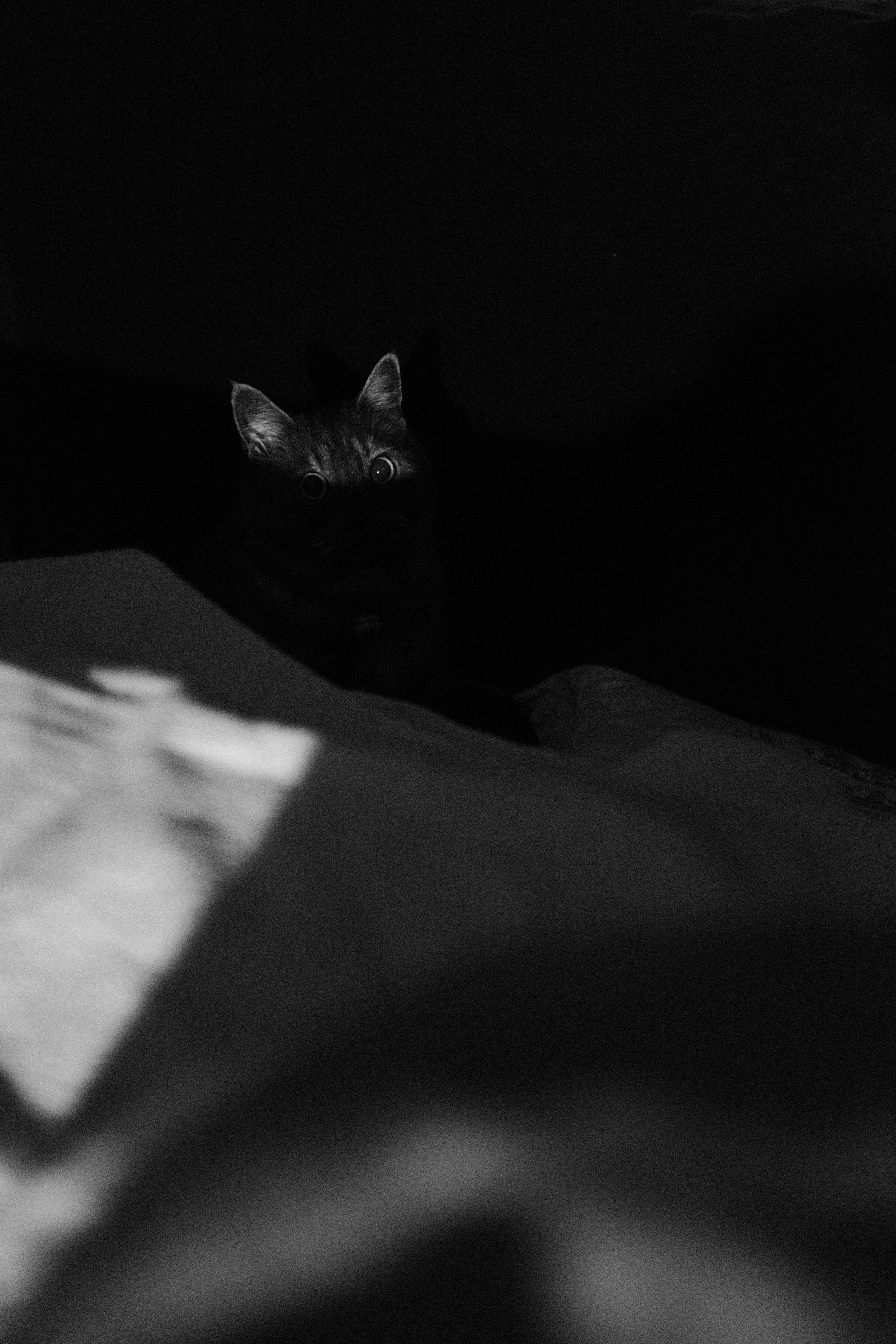 Photo by kennyzhang29