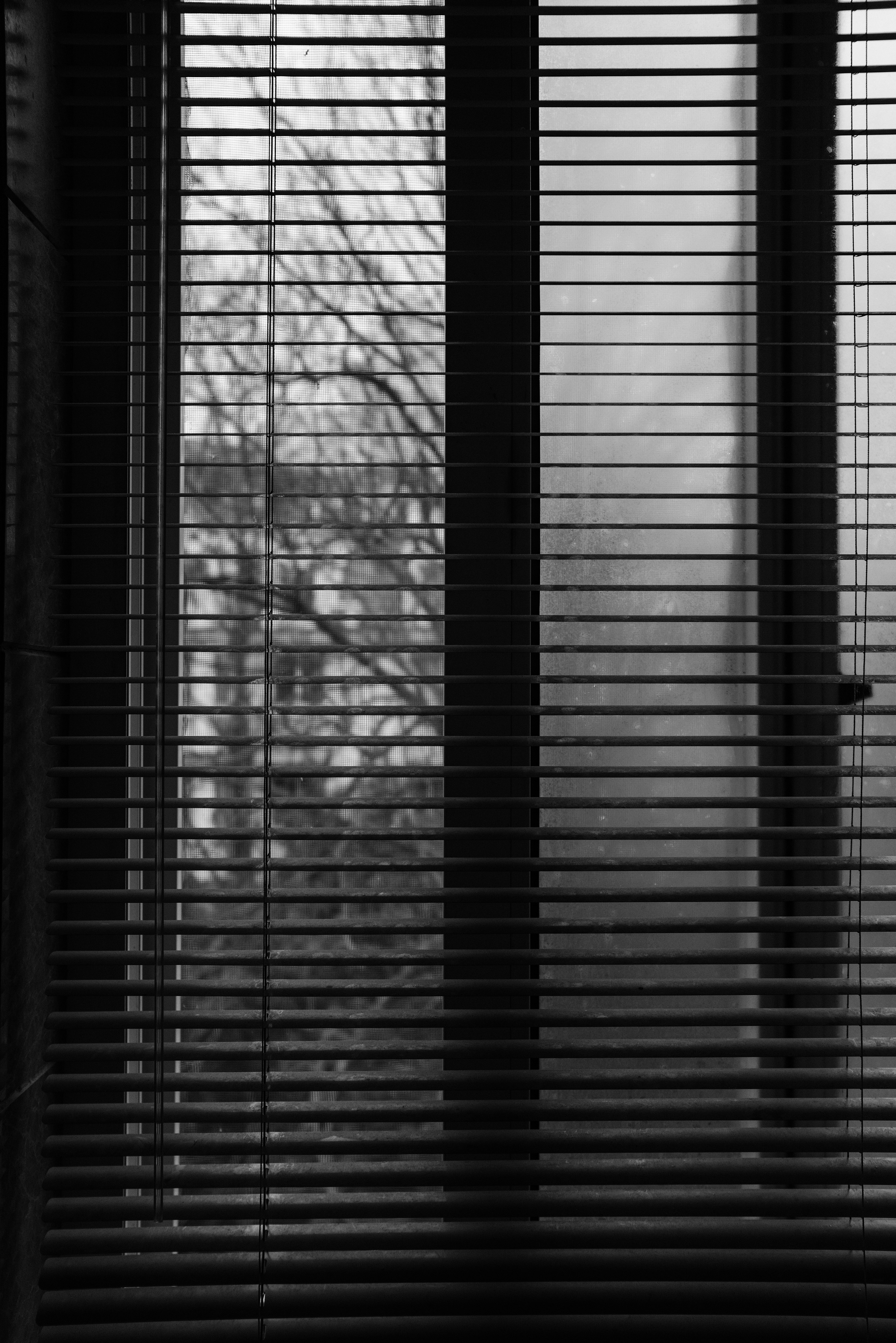 Photo by kennyzhang29