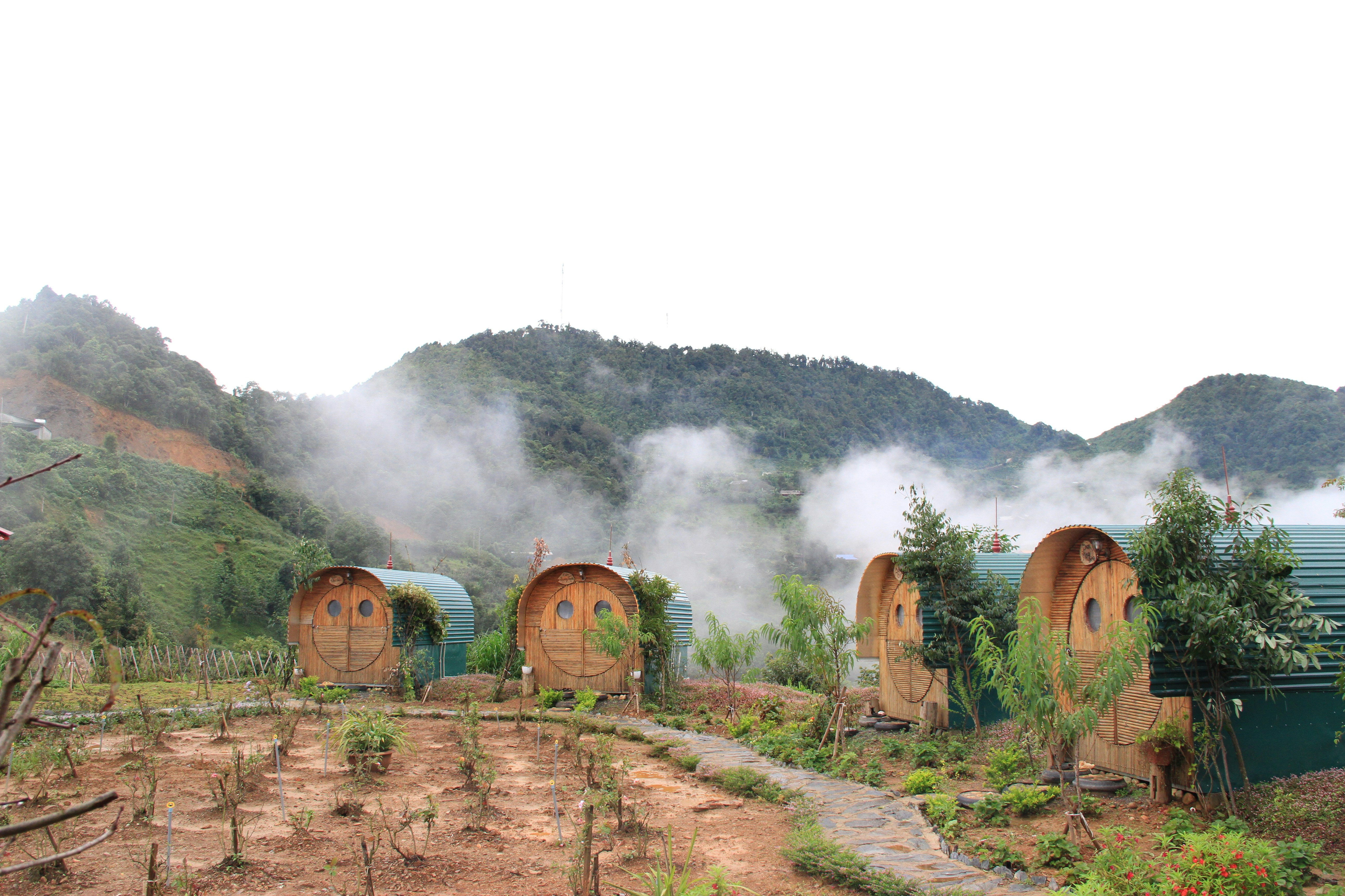 Photo by vutuyenhoang