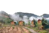 A picturesque landscape featuring several barrel-shaped wooden cabins with green roofs, set amidst a lush, mountainous area. Light mist or fog rises around the cabins, suggesting a cool, serene atmosphere. The foreground shows a small garden with young plants and a stone path leading towards the cabins.