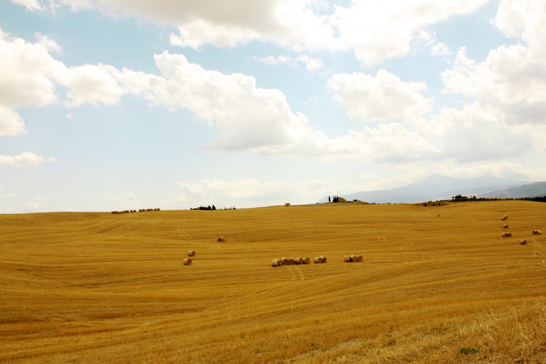 brown grass field under white clouds during daytime