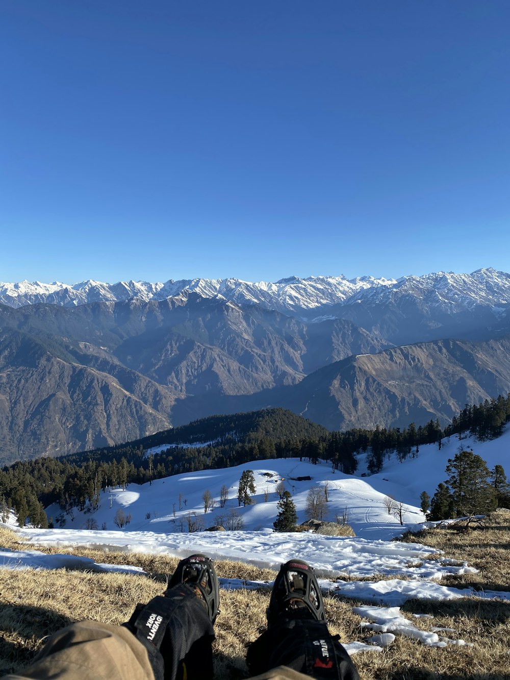 green trees on snow covered ground near mountains during daytime