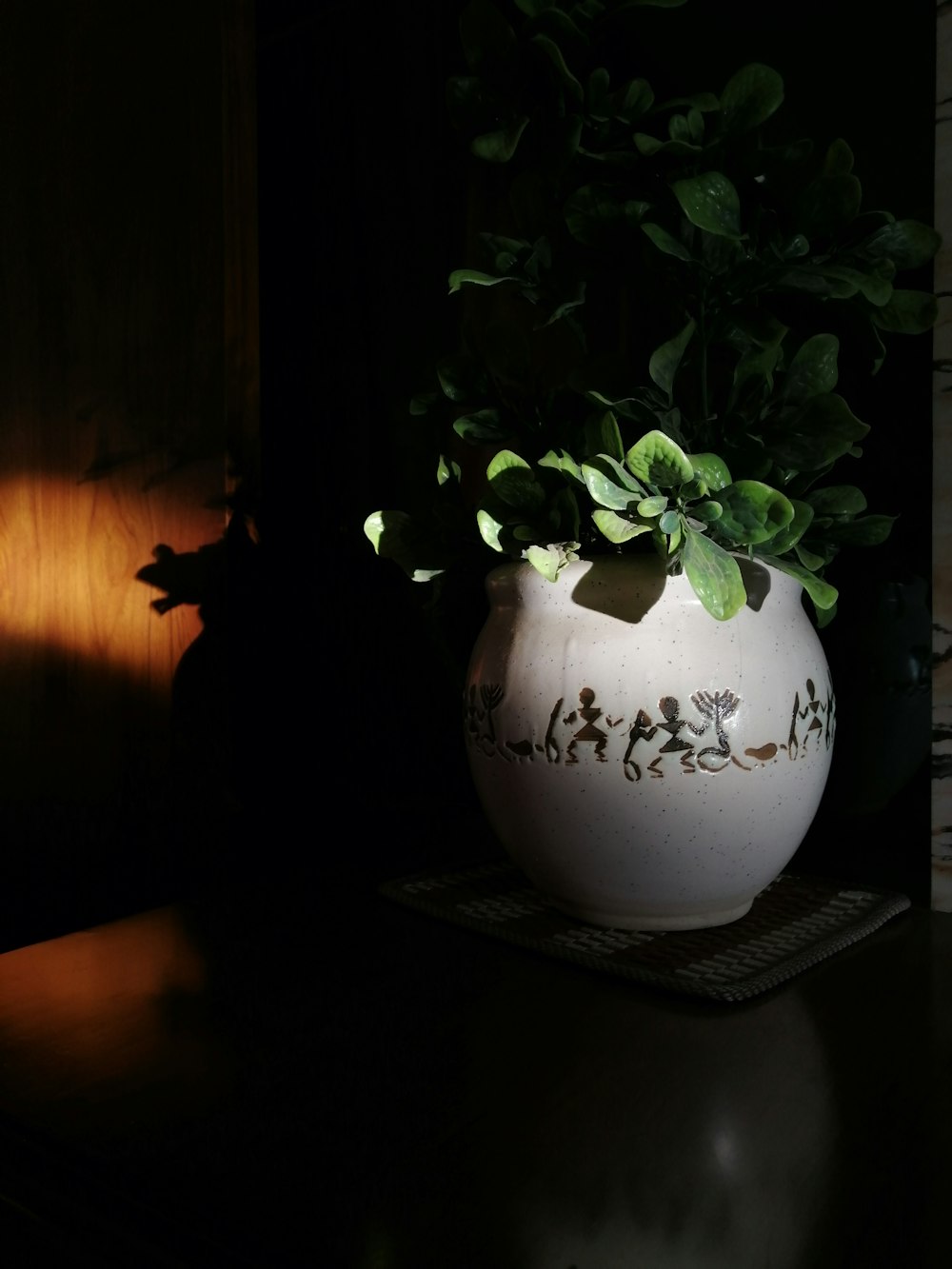 green plant on white ceramic vase