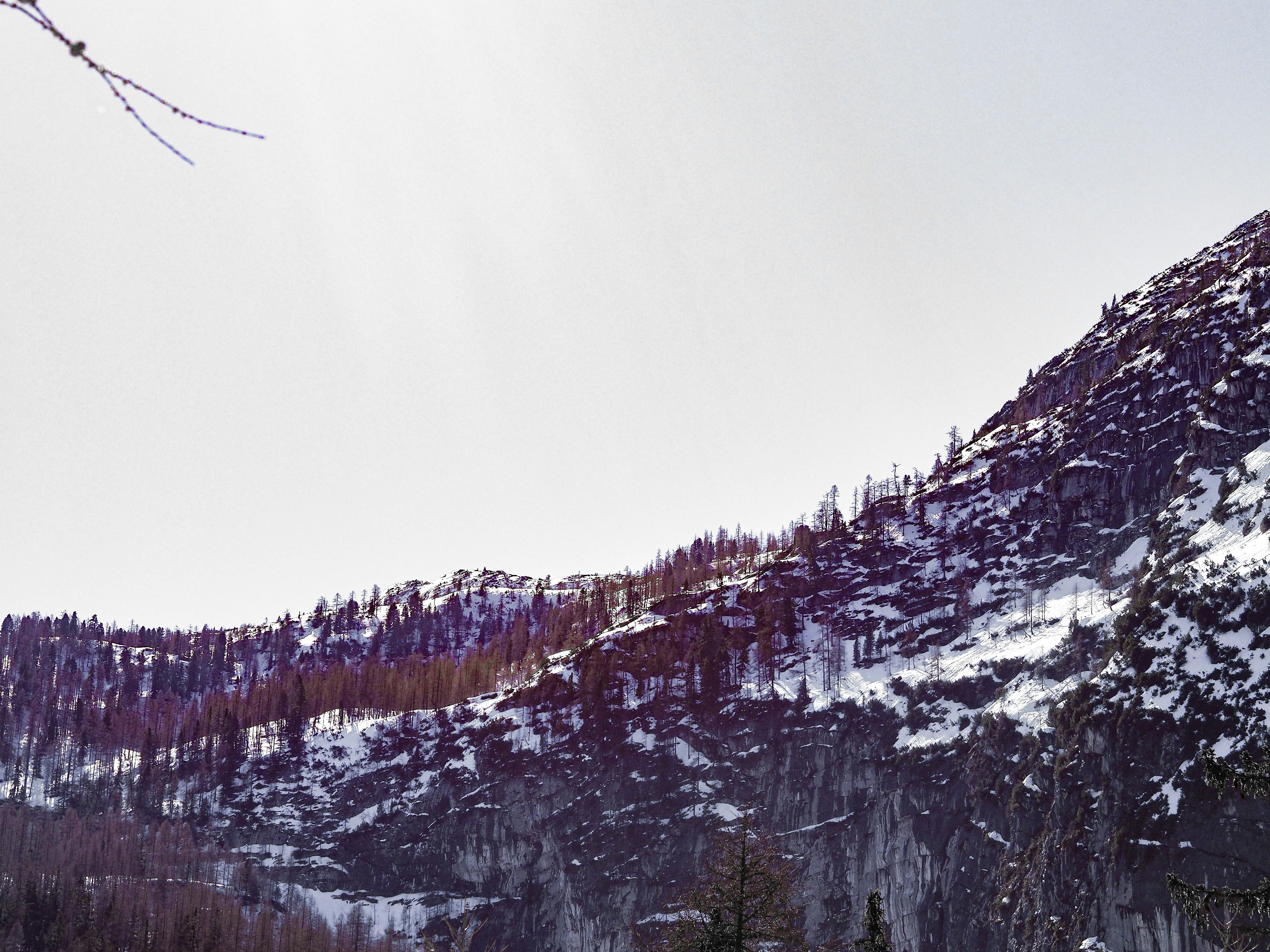 Photo by laurachouette