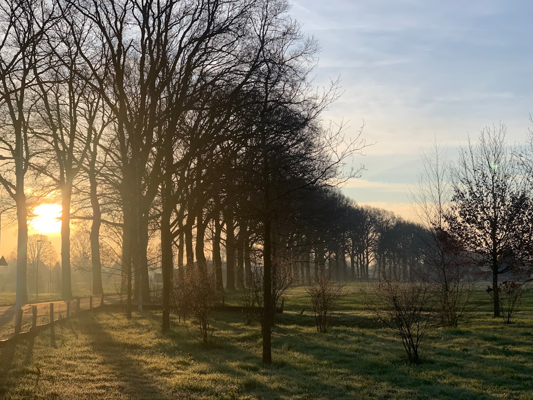 Afbeelding van Veldhoven