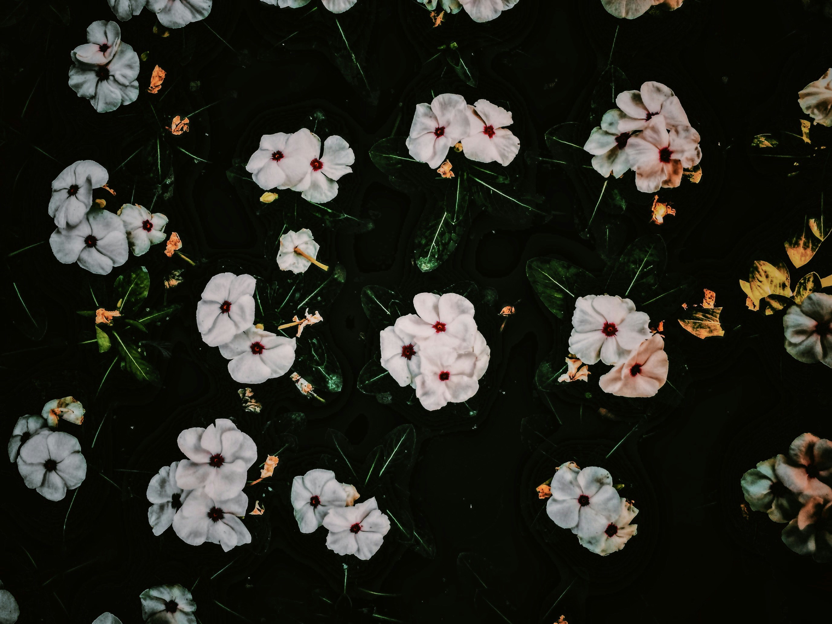 Photo by hilal_zazai