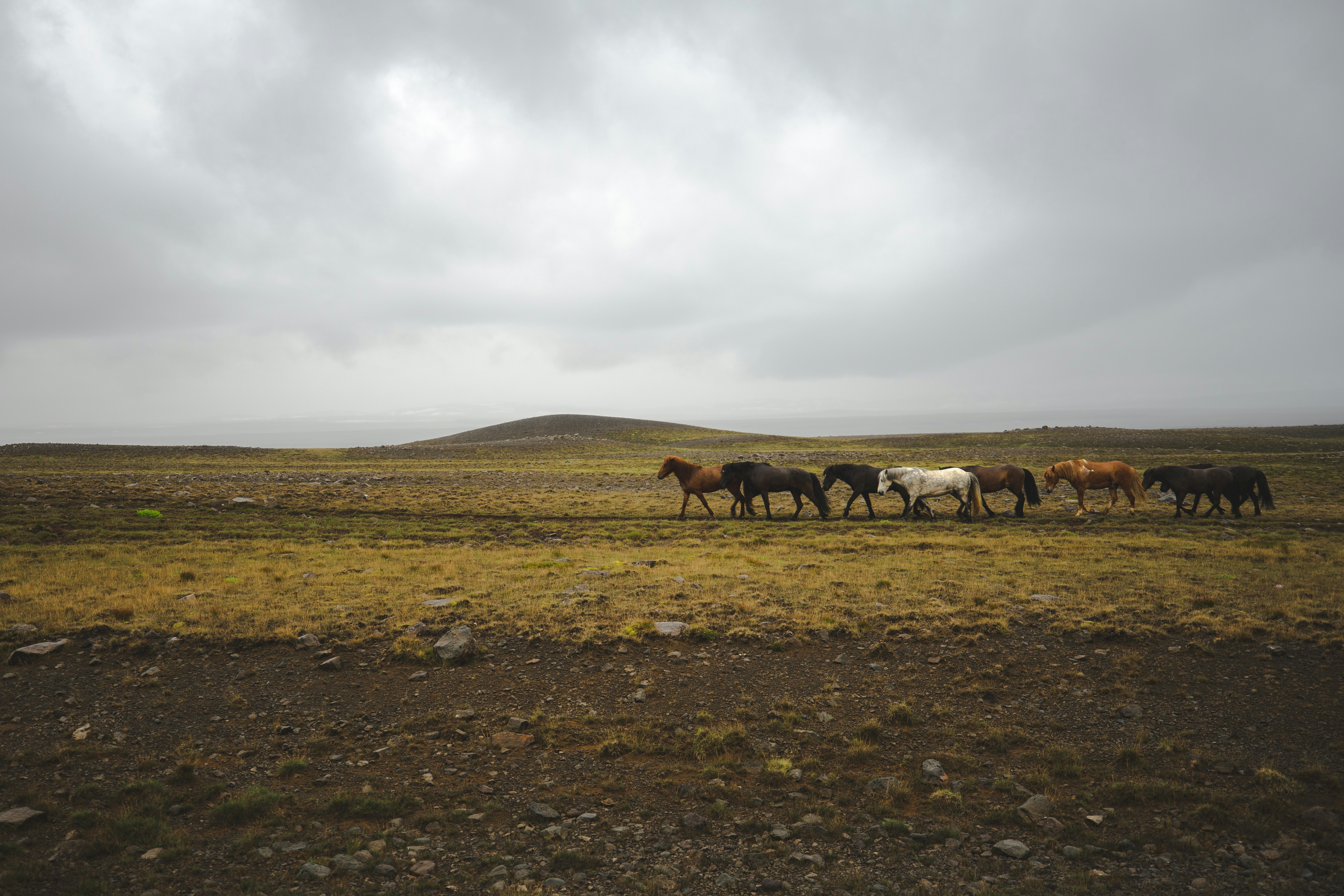 Photo by danielebuso