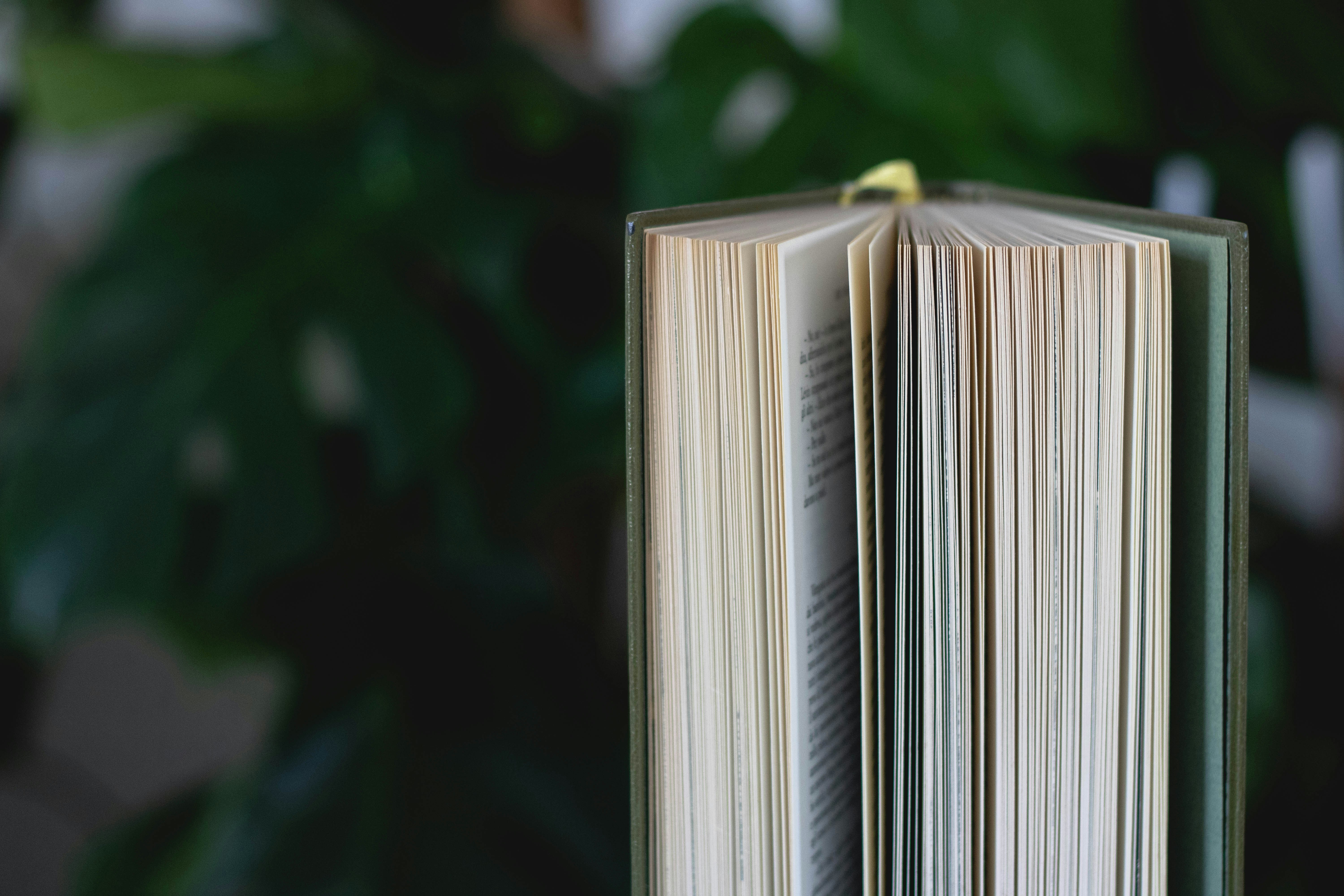 white and black striped box