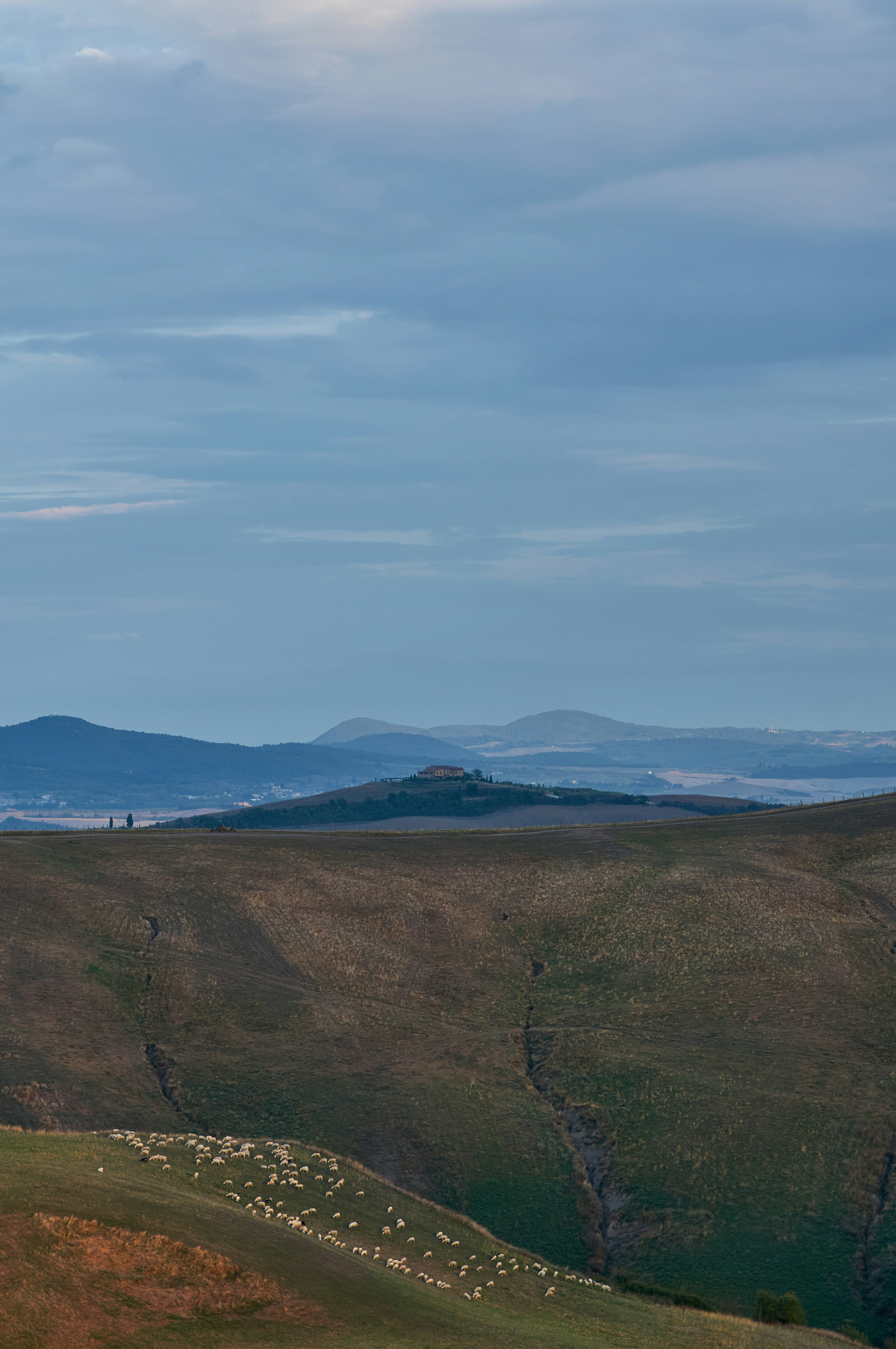 Photo by wolfgang_hasselmann